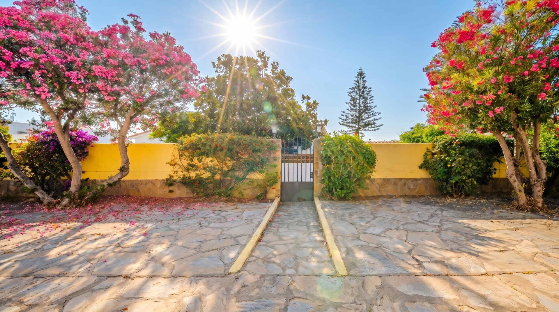 House · Jardin Tropical thumbnail 2