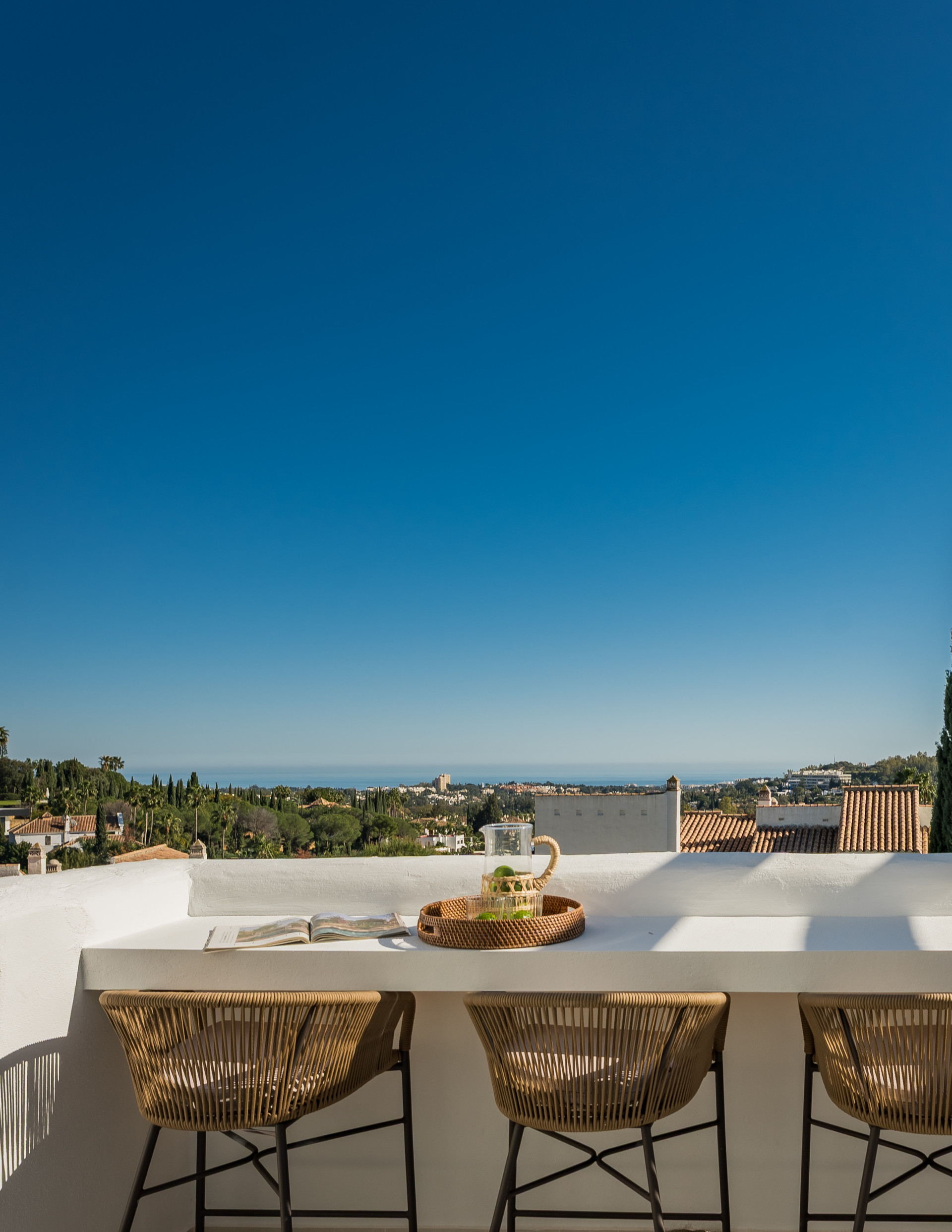Duplex Penthouse · Nueva Andalucia — 1