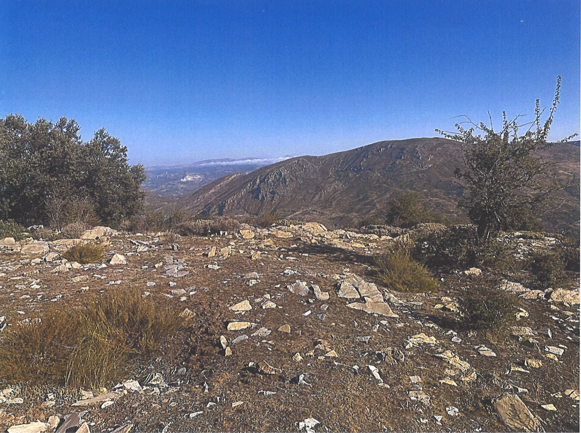 Image 5: Terreno For sale, , €890,000 [EAMs685350]