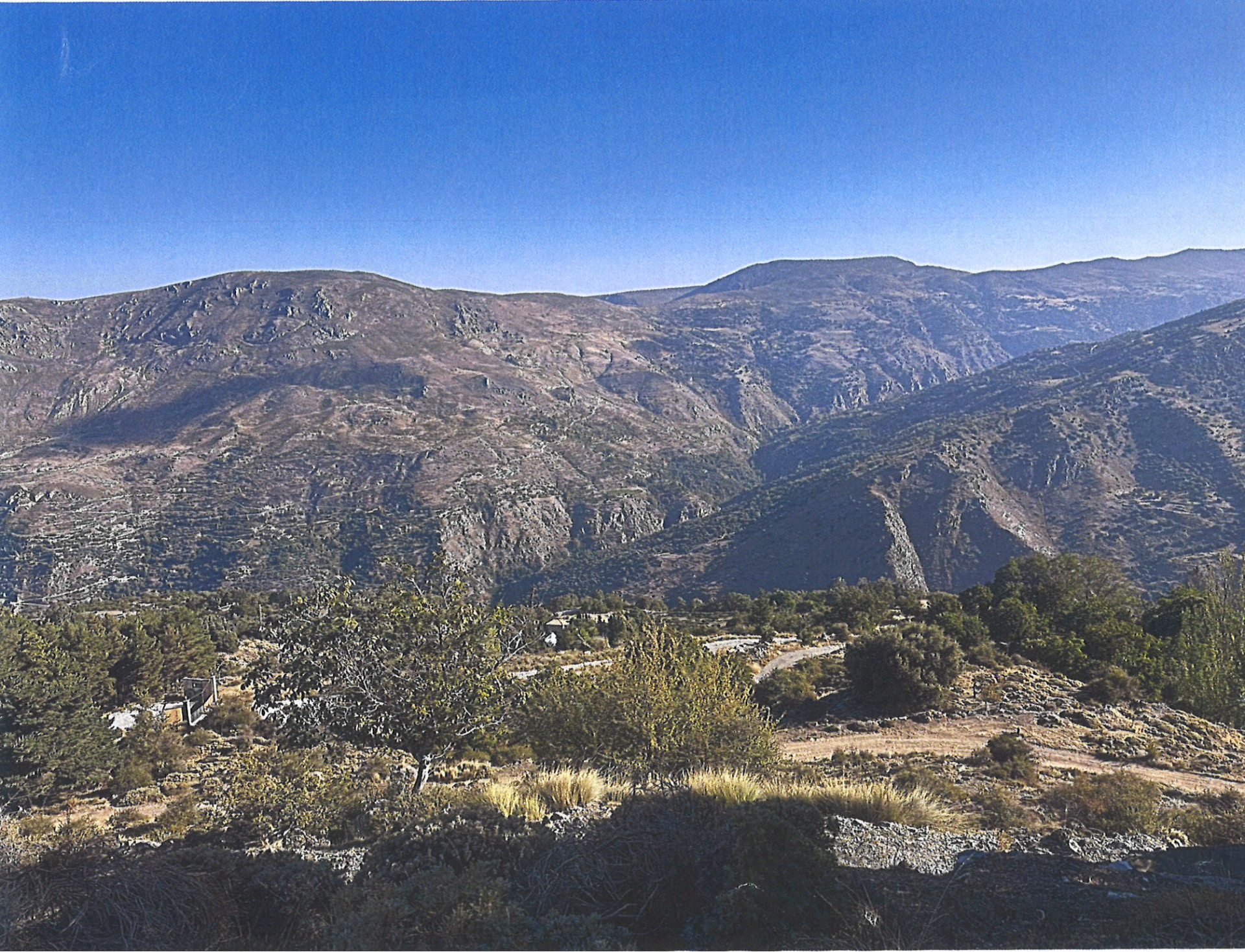 Image 1: Terreno For sale, , €890,000 [EAMs685350]
