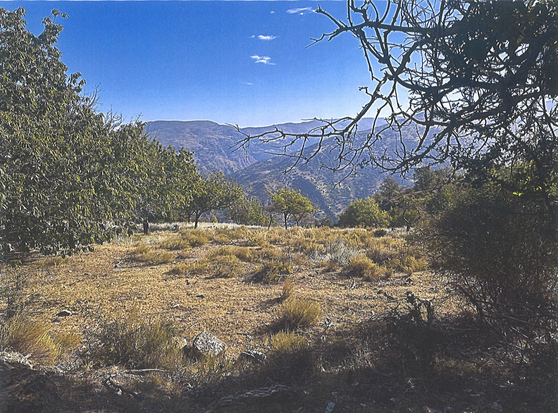 Image 2: Terreno For sale, , €890,000 [EAMs685350]