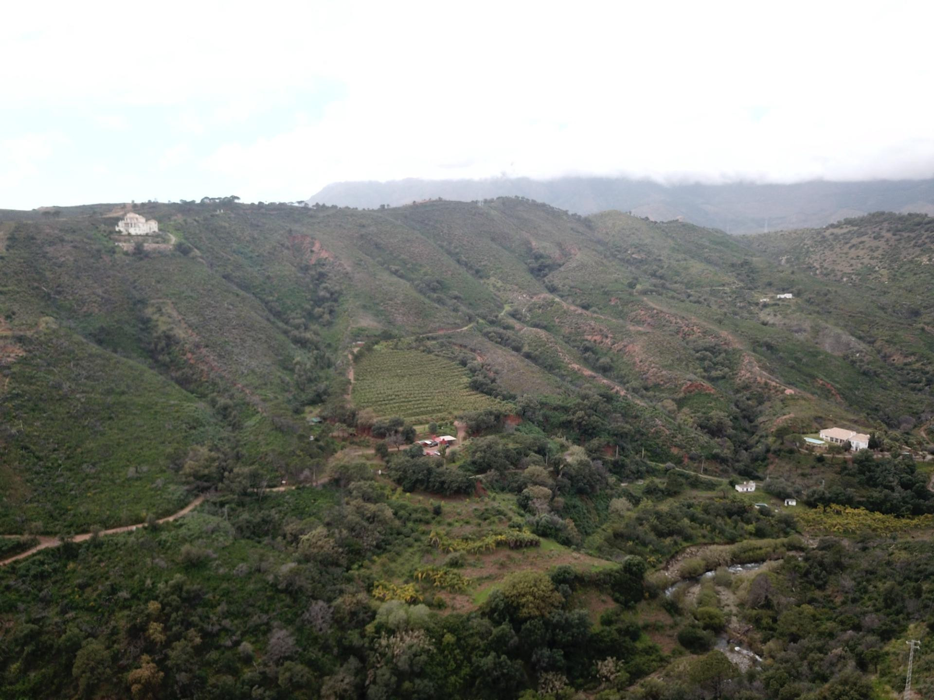 Rustic Plot te Estepona afbeelding 4