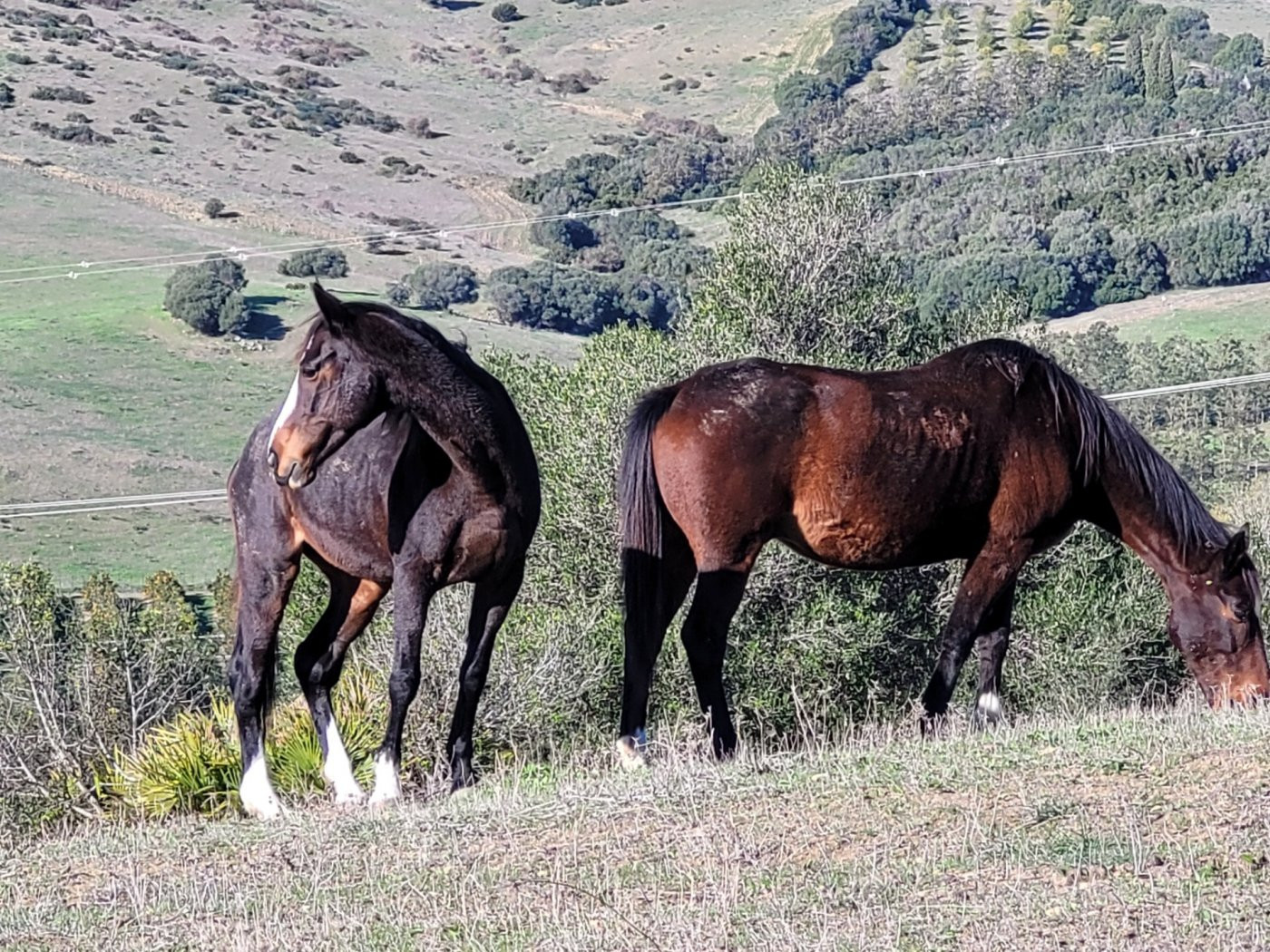 Villa te San Martin del Tesorillo afbeelding 2