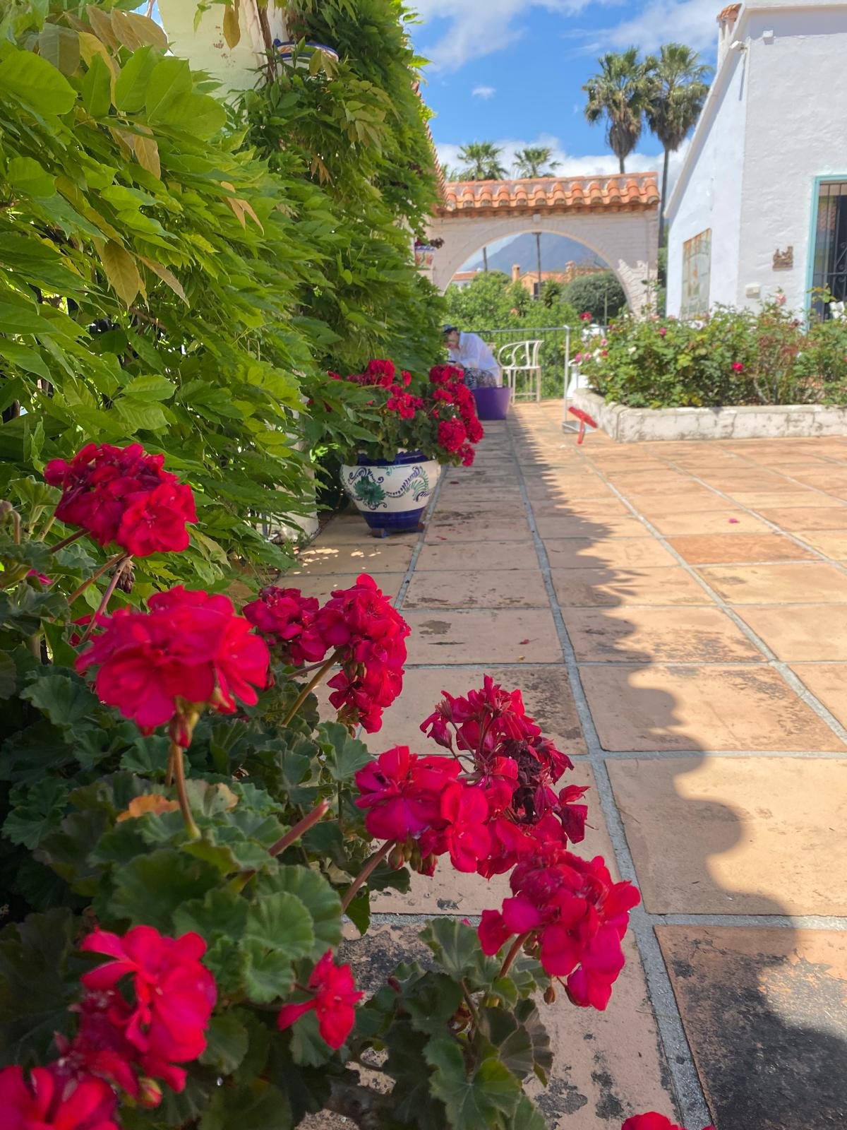 Image 33: Villa - Chalet For sale, Estepona, €1,370,000 [HFMs698503]