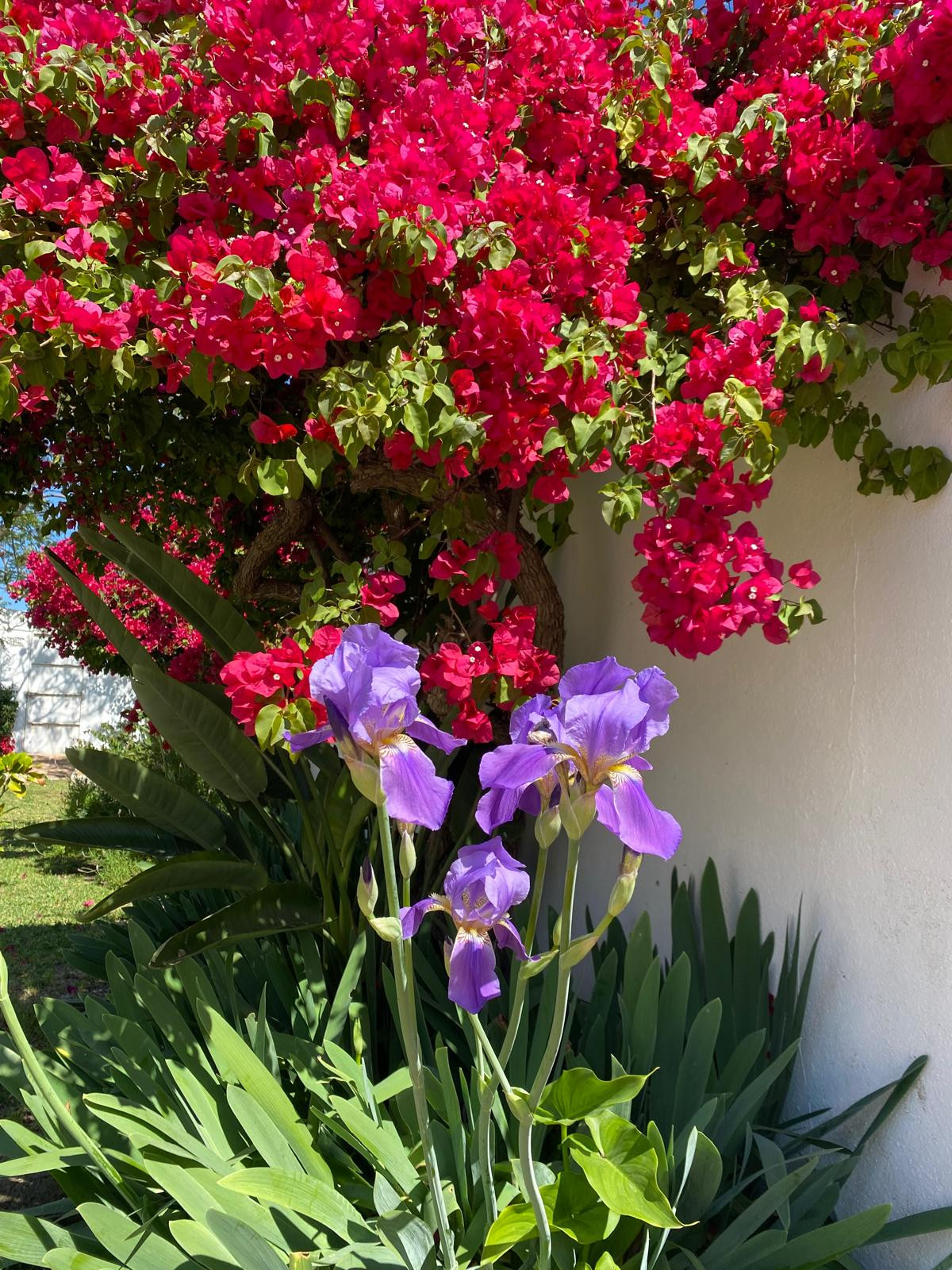 Image 26: Villa - Chalet For sale, Estepona, €1,370,000 [HFMs698503]