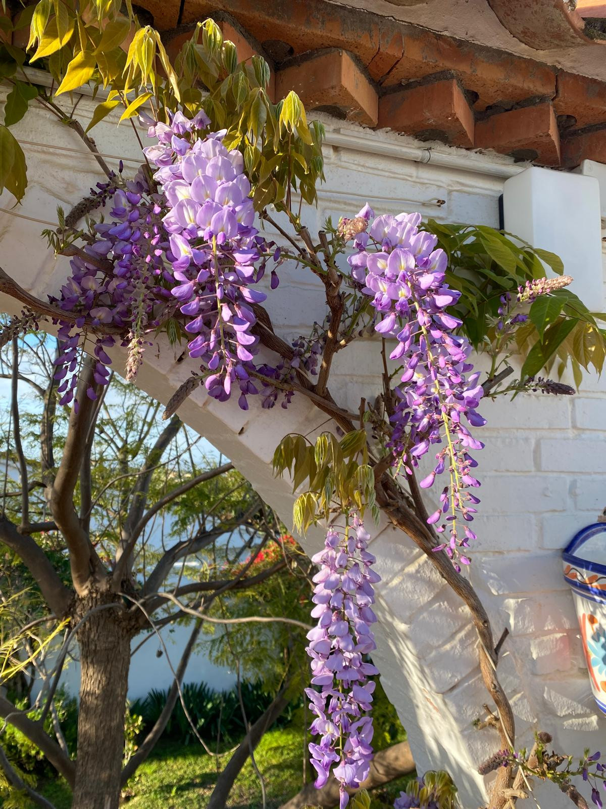 Image 44: Villa - Chalet For sale, Estepona, €1,370,000 [HFMs698503]