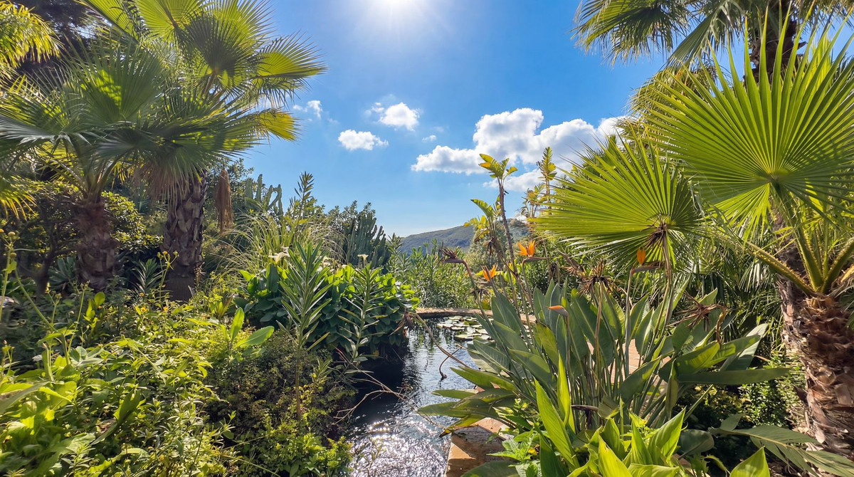 Image 40: Finca - Cortijo For sale, alhaurin el grande, €2,150,000 [HFMs692028]