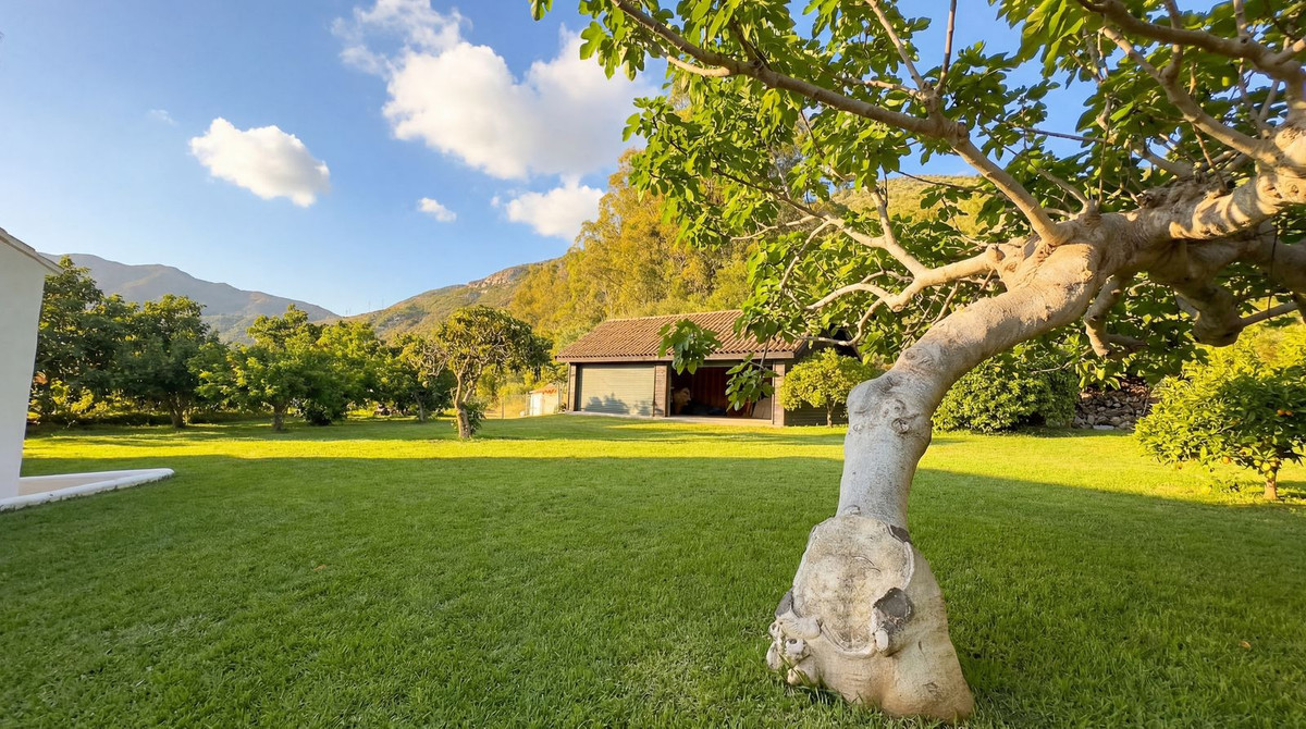 Image 33: Finca - Cortijo For sale, alhaurin el grande, €2,150,000 [HFMs692028]