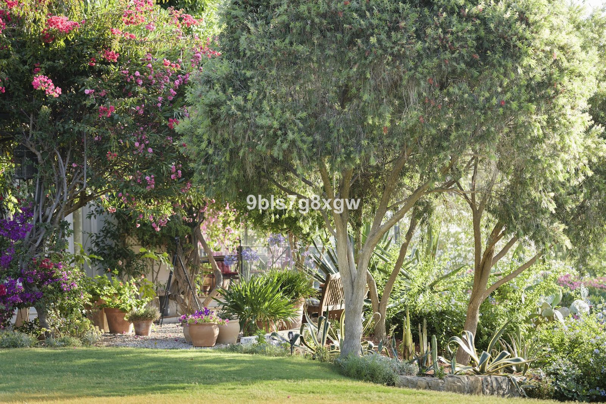 Image 30: Finca - Cortijo For sale, , €2,495,000 [HFMs729303]