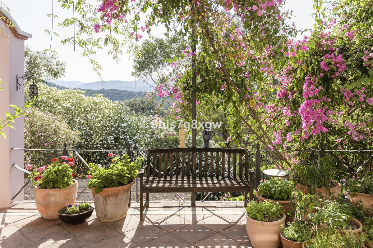 Image 5: Finca - Cortijo For sale, , €2,495,000 [HFMs729303]