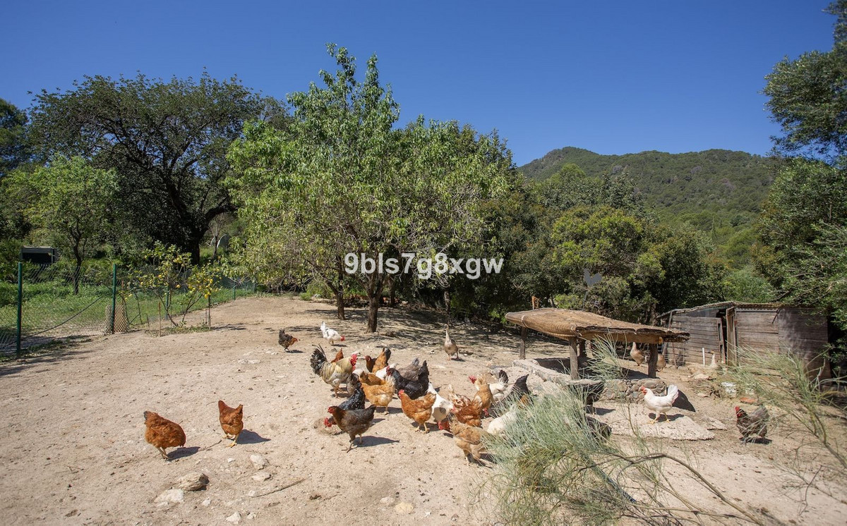 Image 36: Finca - Cortijo For sale, , €2,495,000 [HFMs729303]