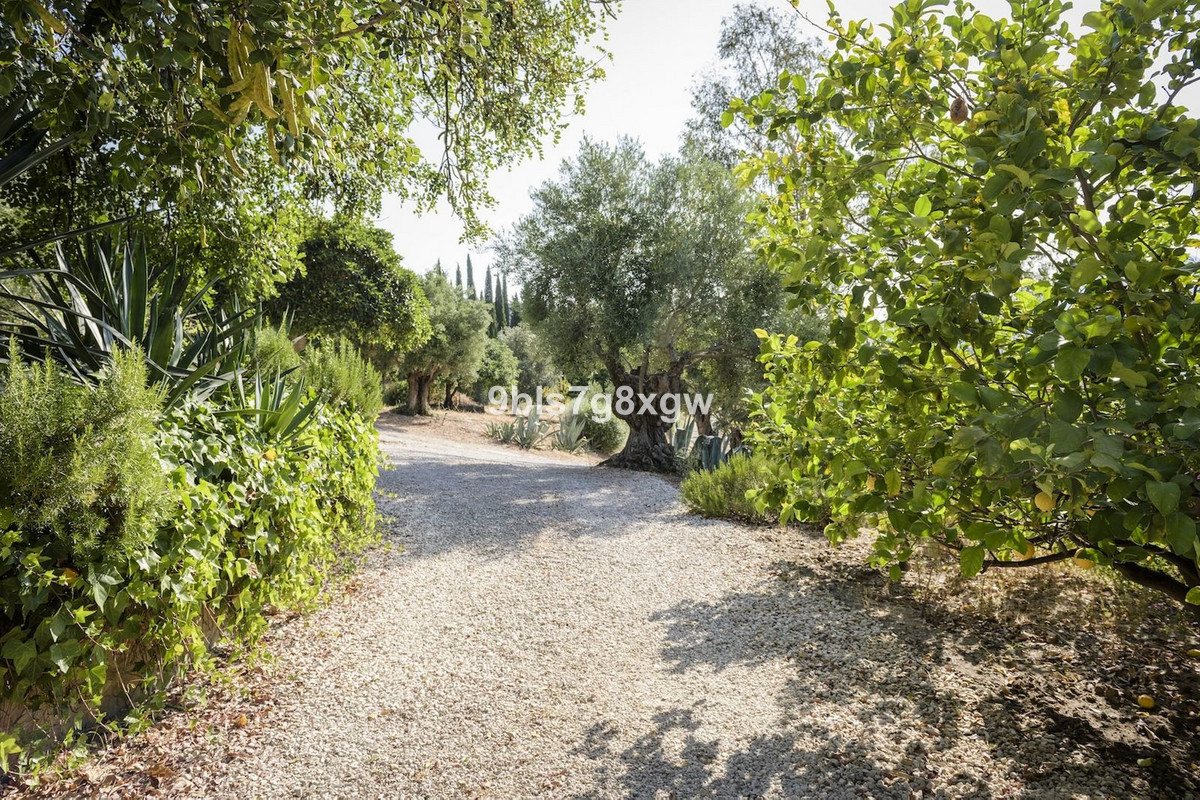 Image 31: Finca - Cortijo For sale, , €2,495,000 [HFMs729303]