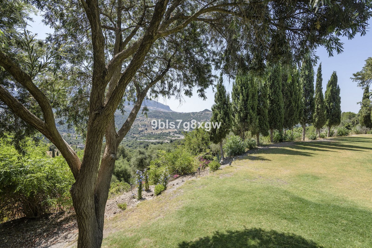 Image 28: Finca - Cortijo For sale, , €2,495,000 [HFMs729303]