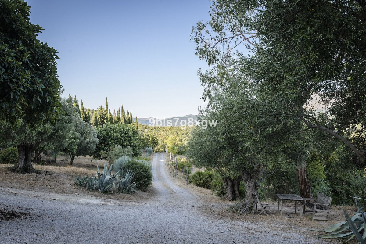 Image 34: Finca - Cortijo For sale, , €2,495,000 [HFMs729303]