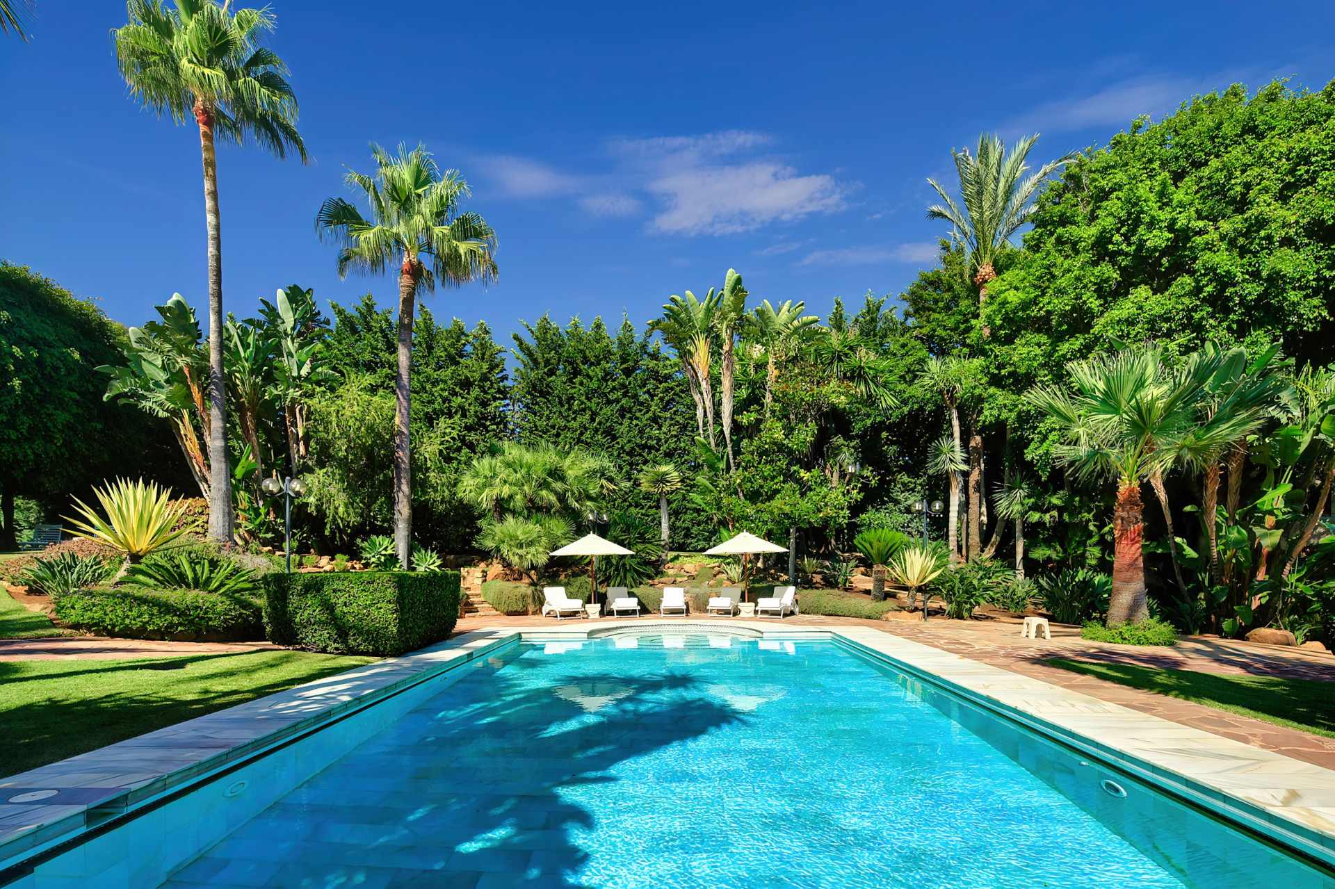 Image 5:  For sale, Marbella, €12,000,000 [963-00163P]