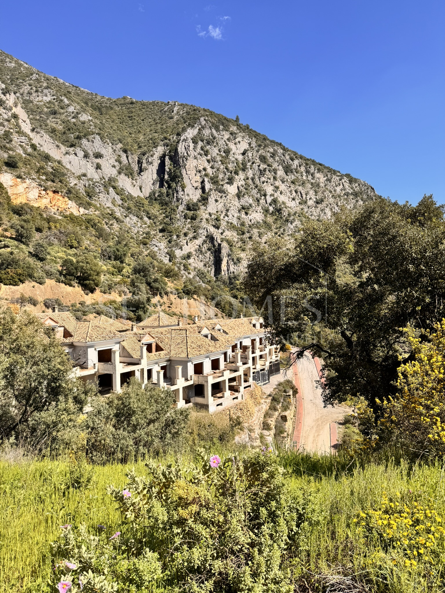 New Development Plot