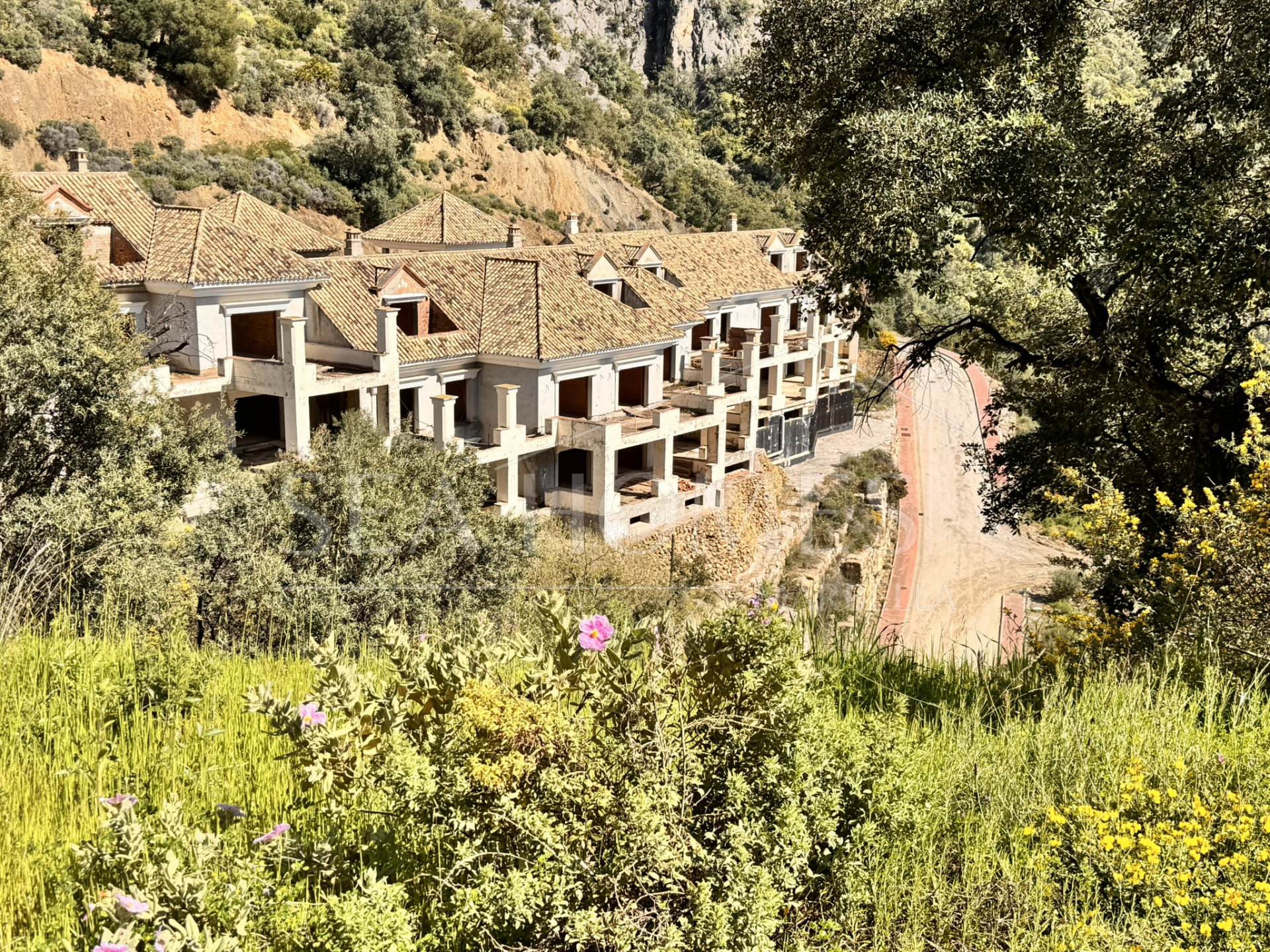 New Development Plot