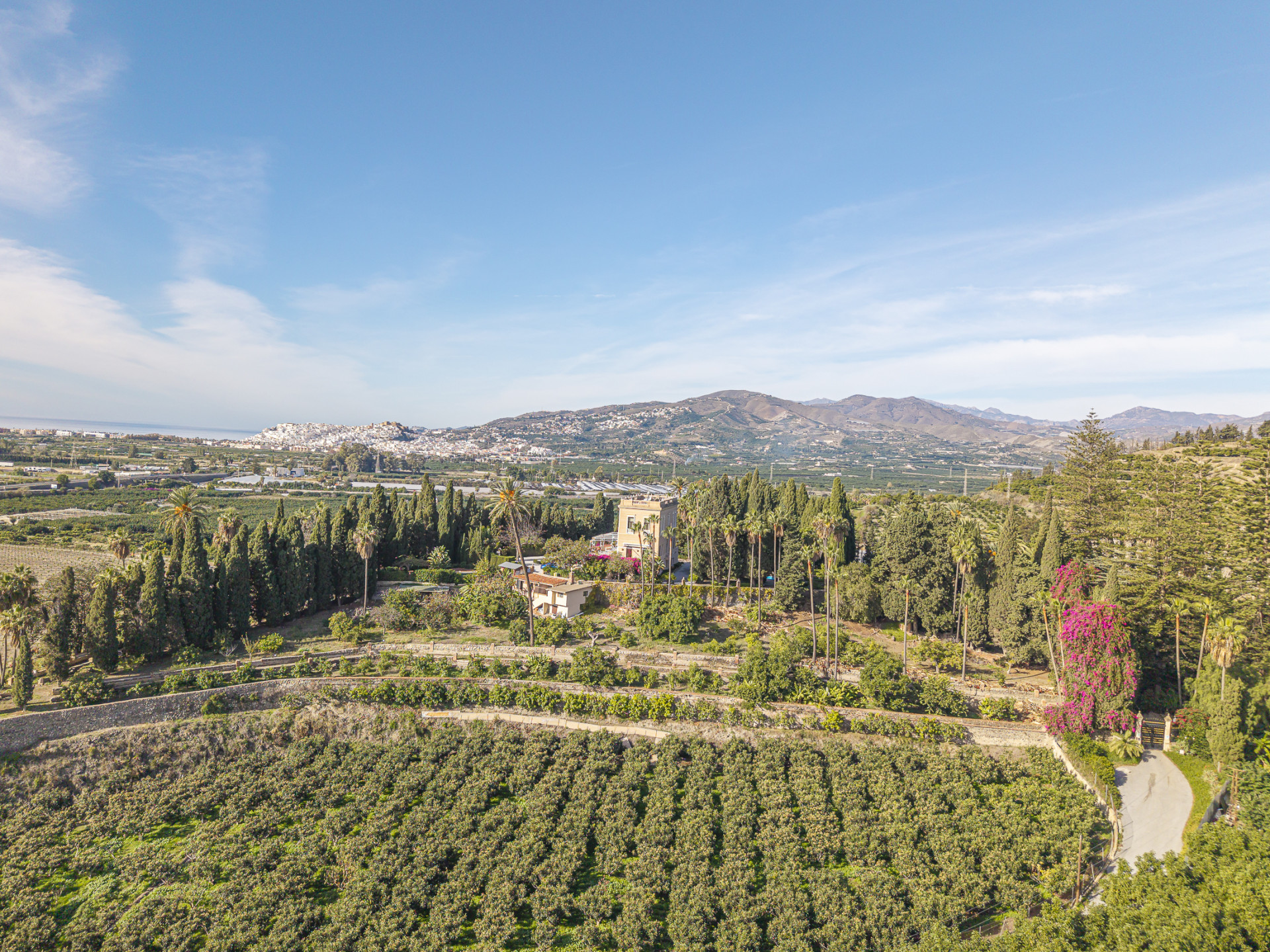 19th-Century Manor House with Approved Hotel Project on Granada's Costa Tropical