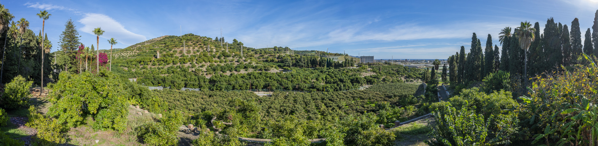 19th-Century Manor House with Approved Hotel Project on Granada's Costa Tropical