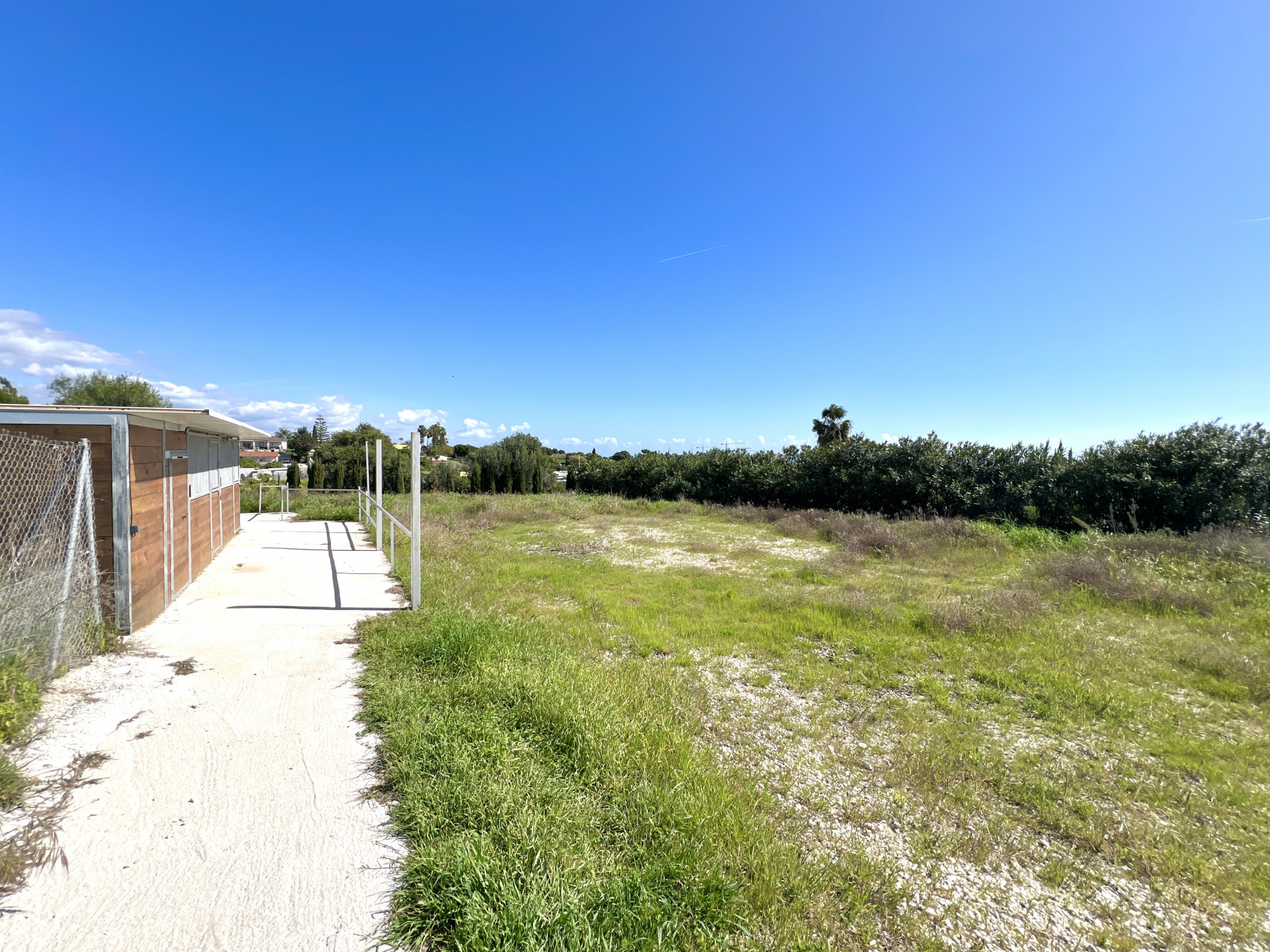 Stunning 3-Bedroom Finca with Horse Stables for Sale in Estepona