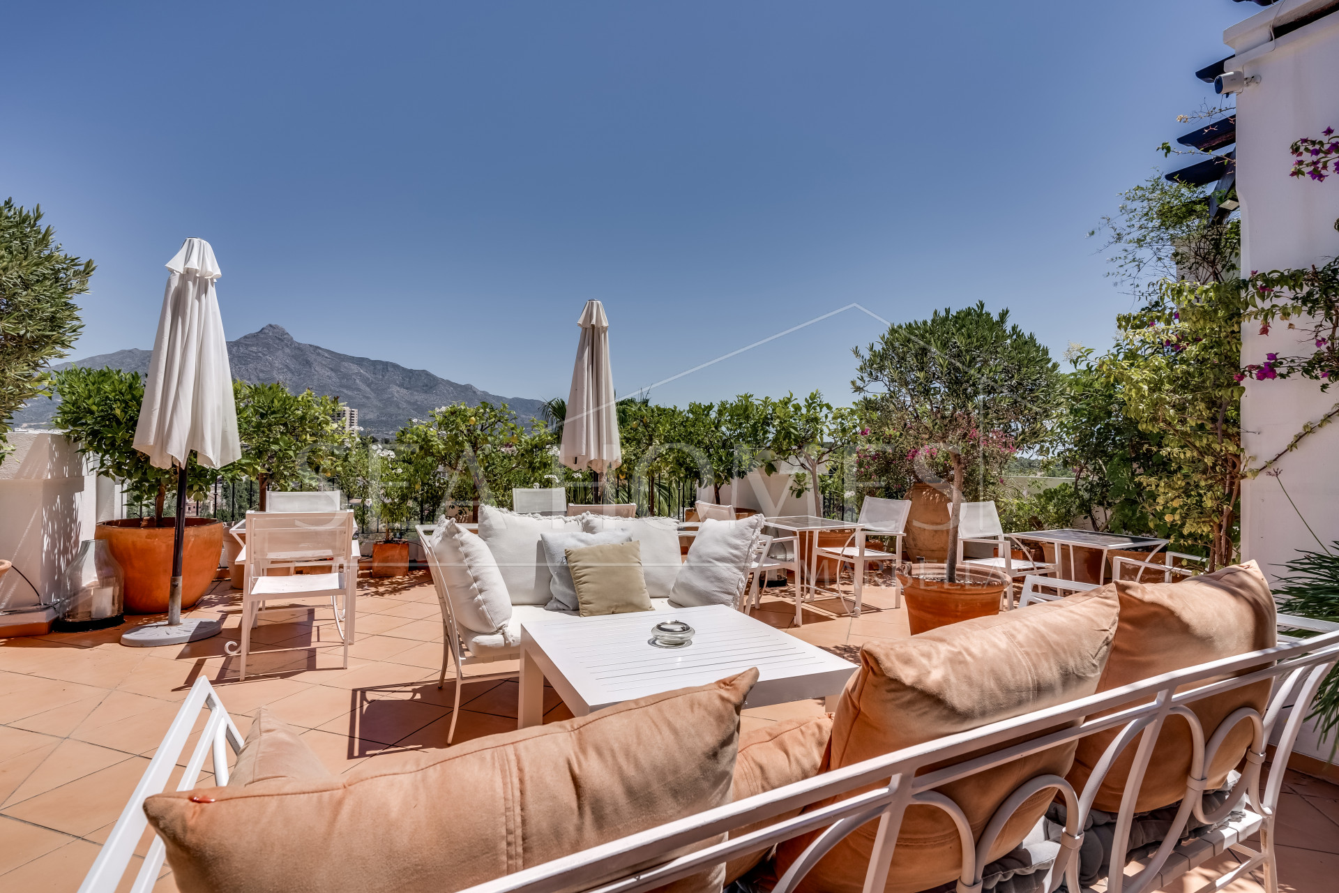 Amazing property with panoramic views!