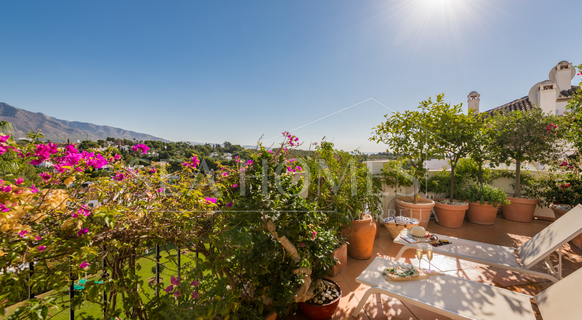 Amazing property with panoramic views!
