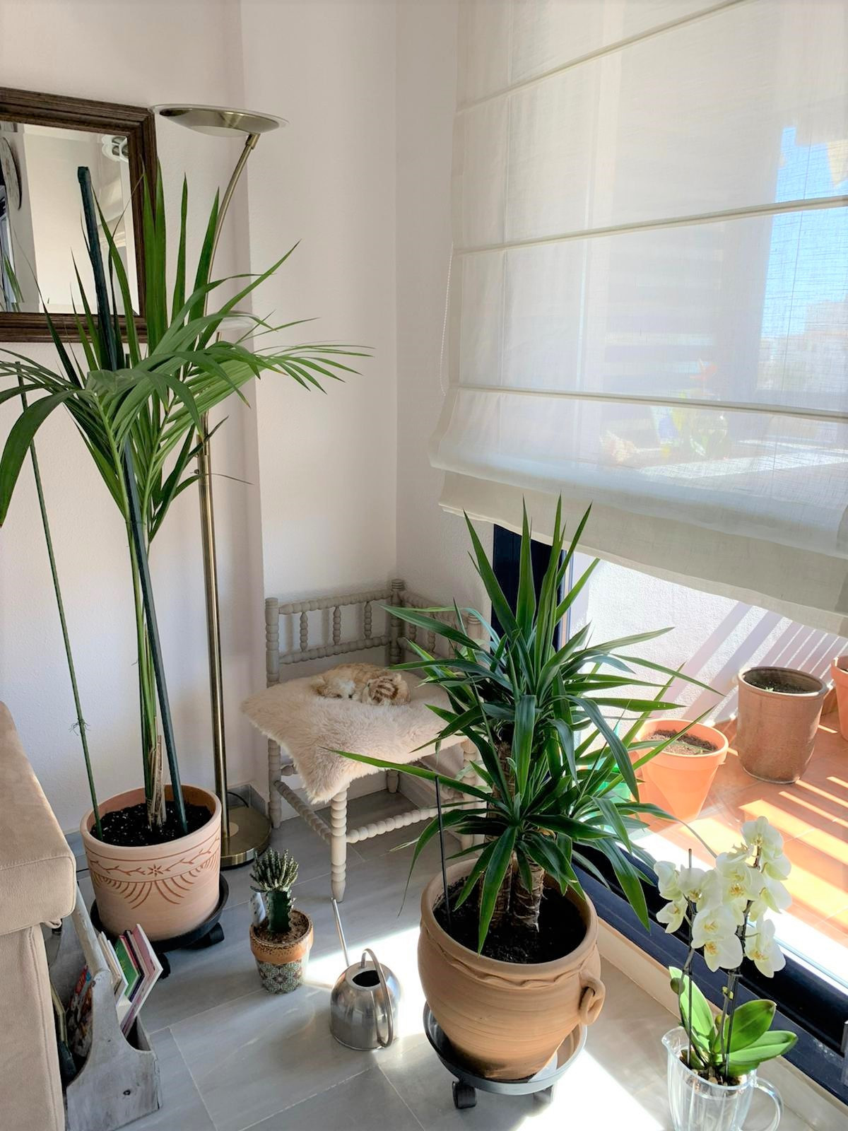Bright penthouse with spectacular solarium and panoramic views in the Port of Estepona! — photo 10
