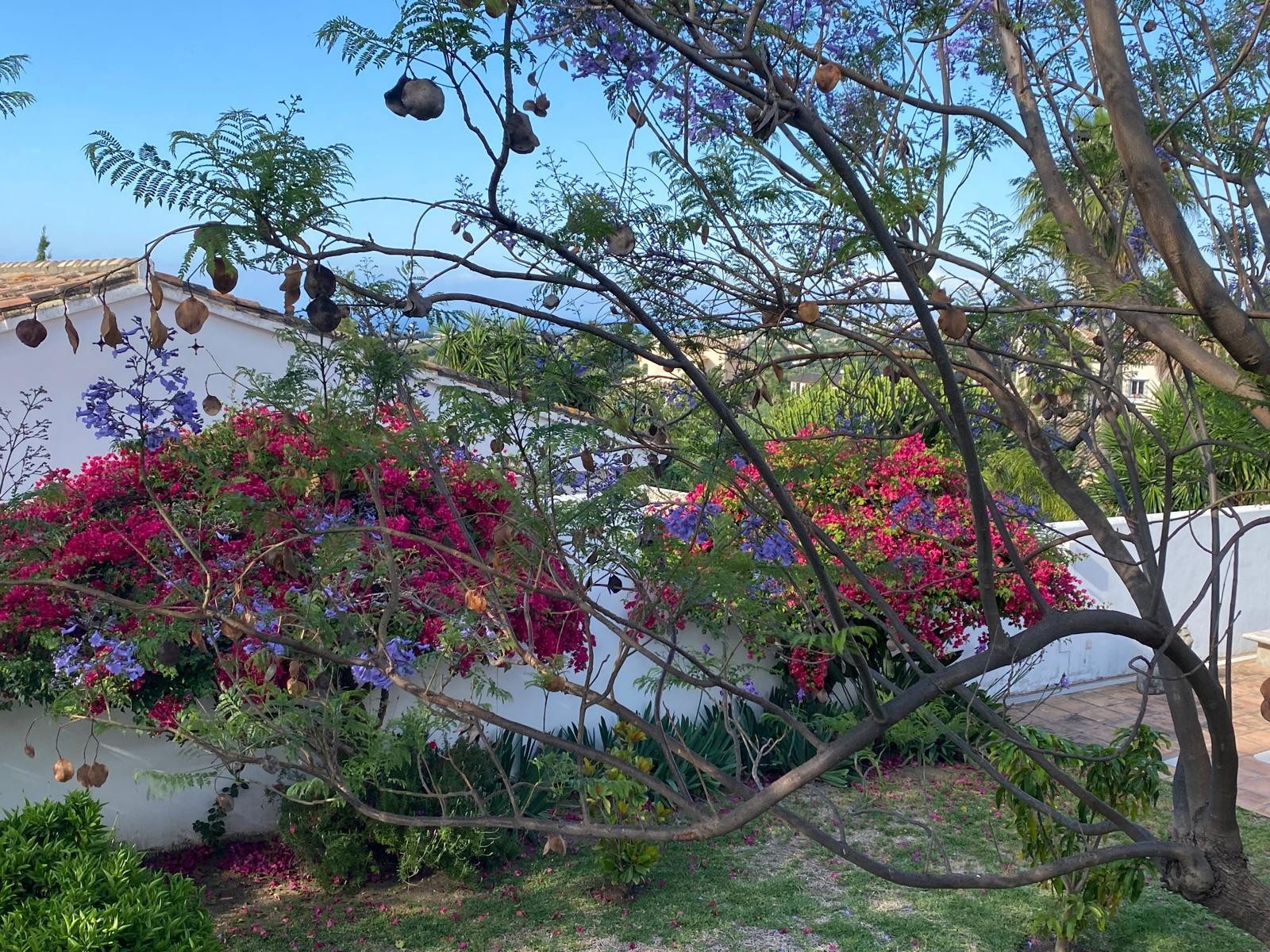 Image {index}: Detached Villa For sale, Estepona, €1,370,000 [6262]