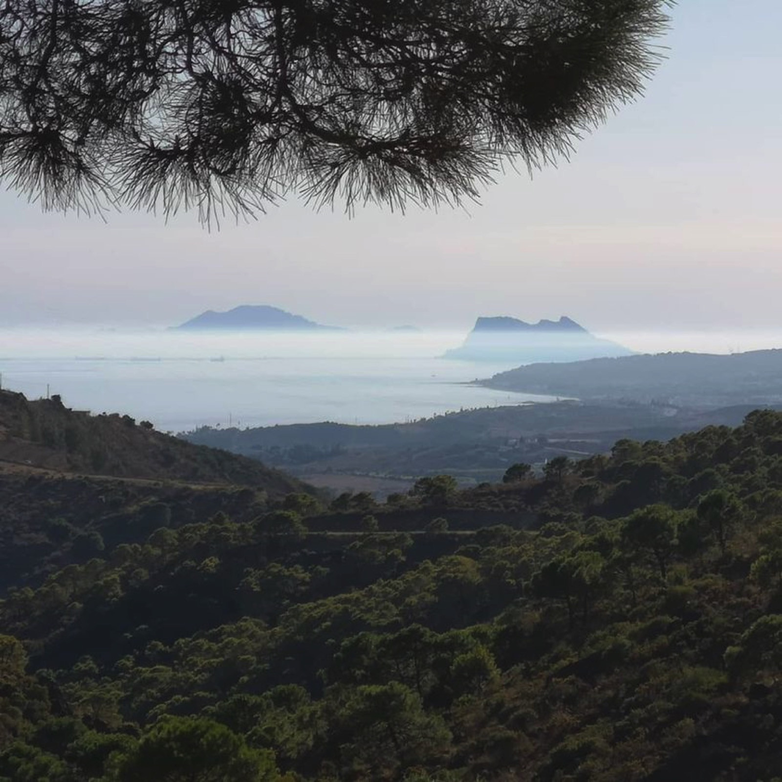 Idyllic Olive Grove Finca with Panoramic Views