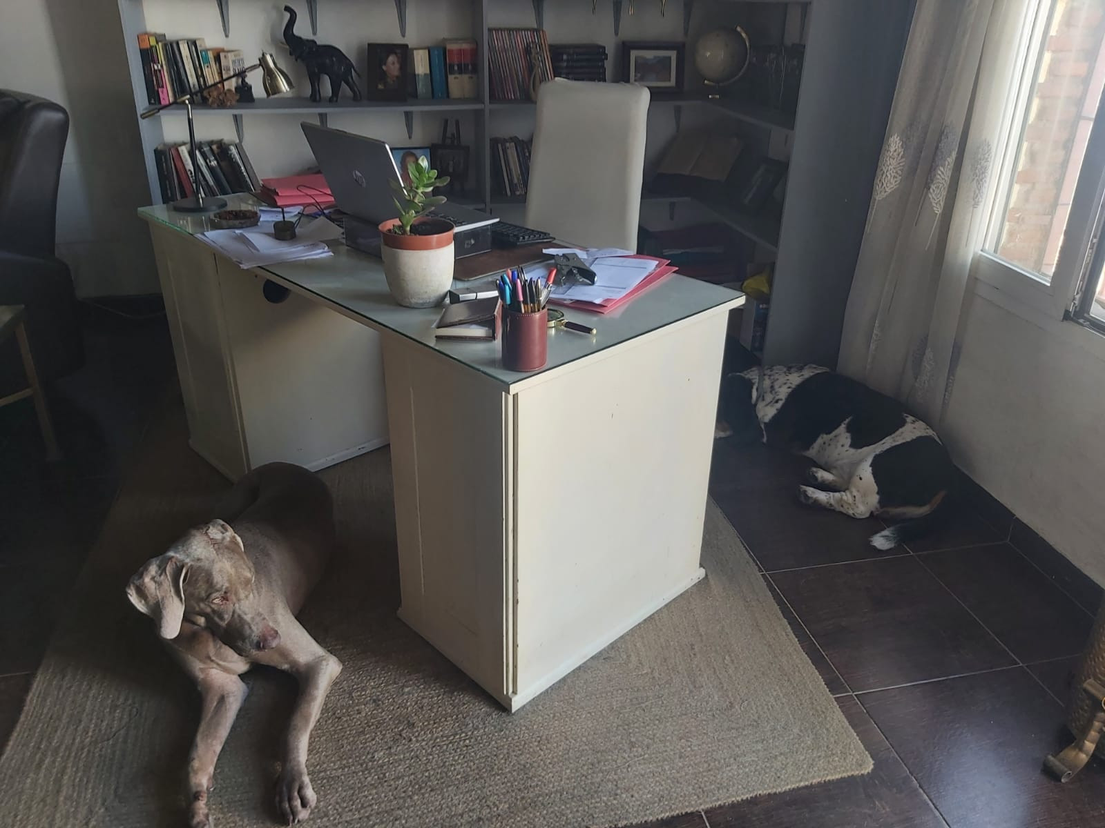 Image {index}: Detached Villa For sale, san roque, €615,000 [300-01683P]