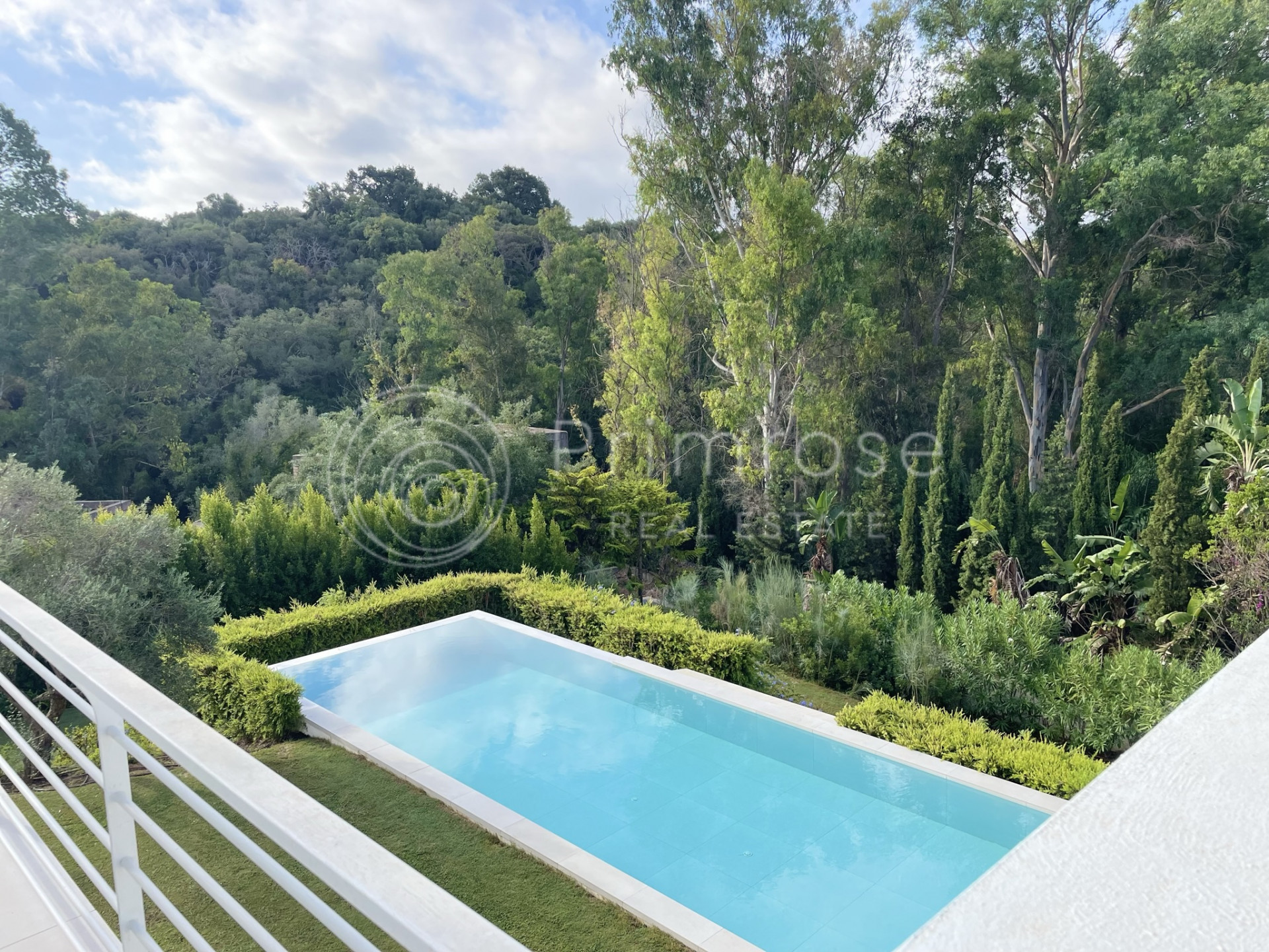 Home - Primrose Real Estate