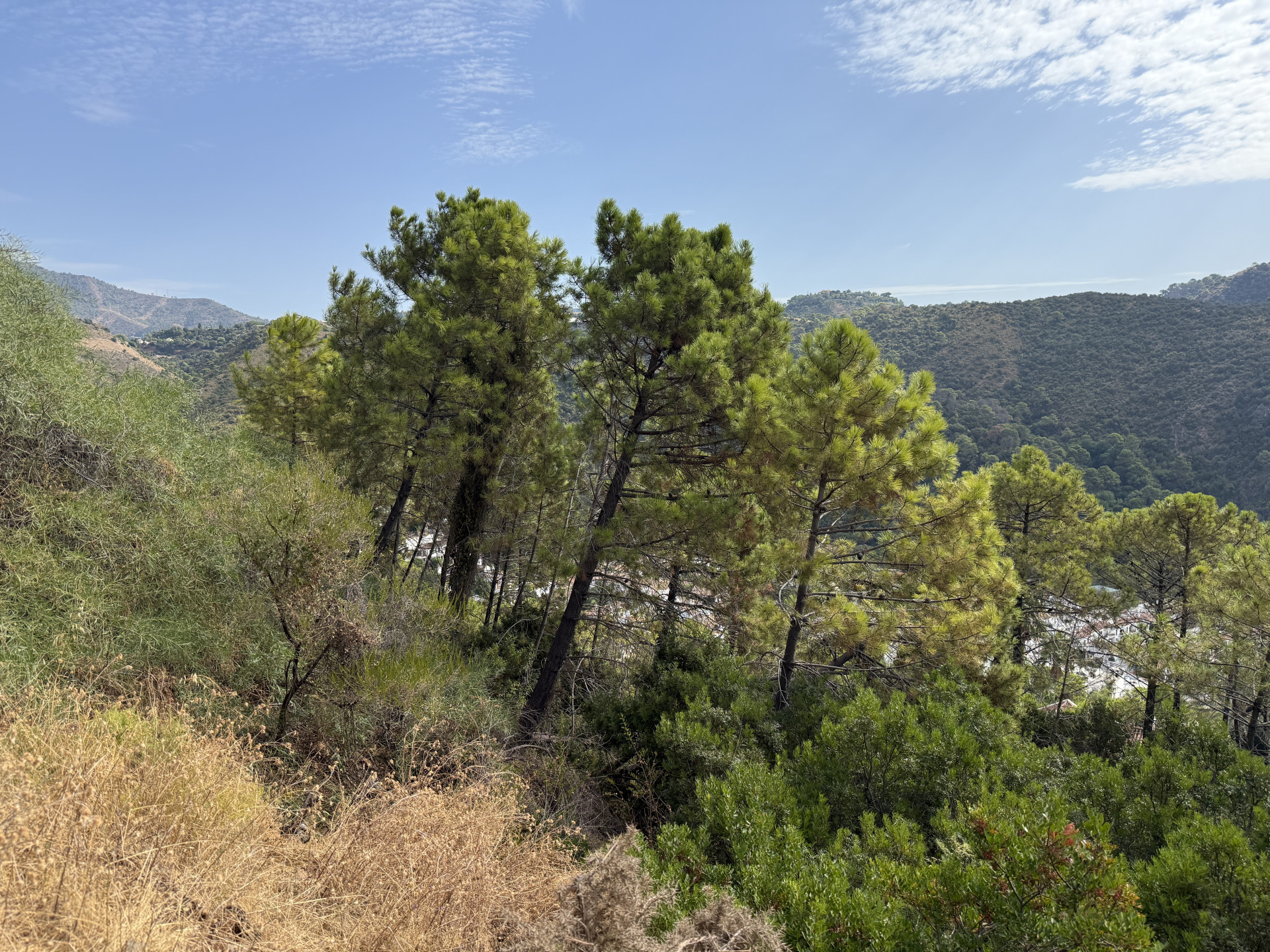 Oportunidad Única - Suelos Urbanos No Consolidados en Benahavís con Vistas Espectaculares