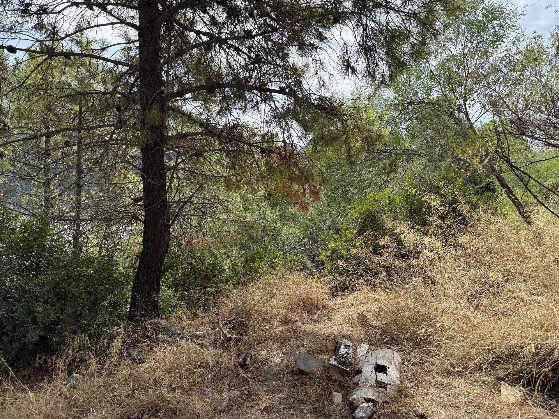 Unique Opportunity – Unconsolidated Urban Land in Benahavís with Spectacular Views