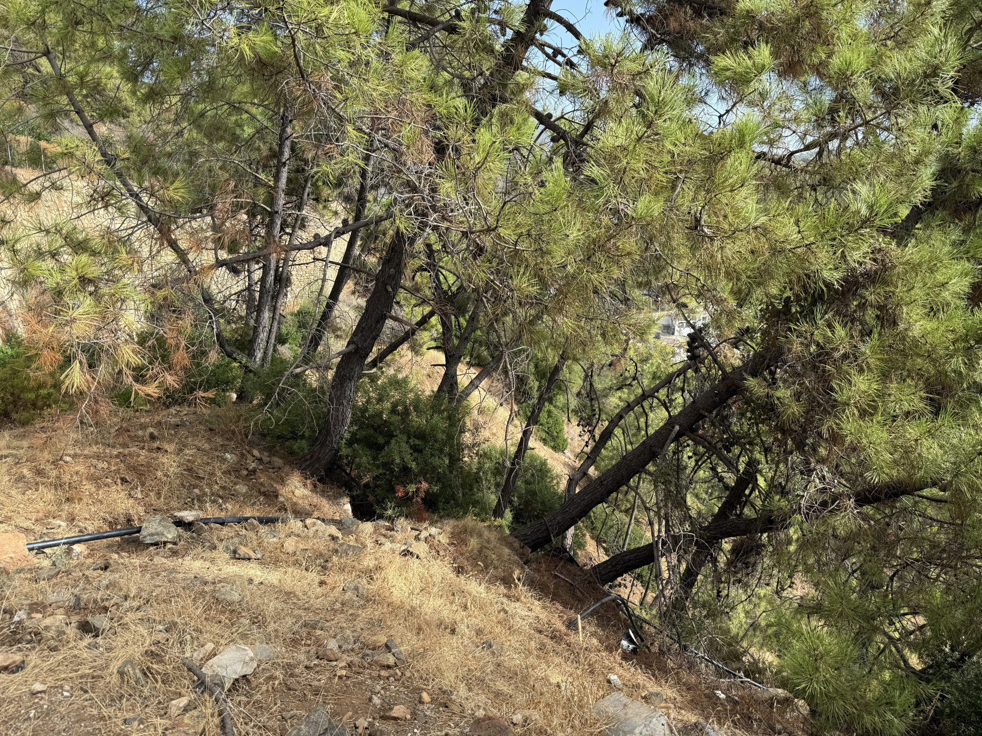 Unique Opportunity – Unconsolidated Urban Land in Benahavís with Spectacular Views