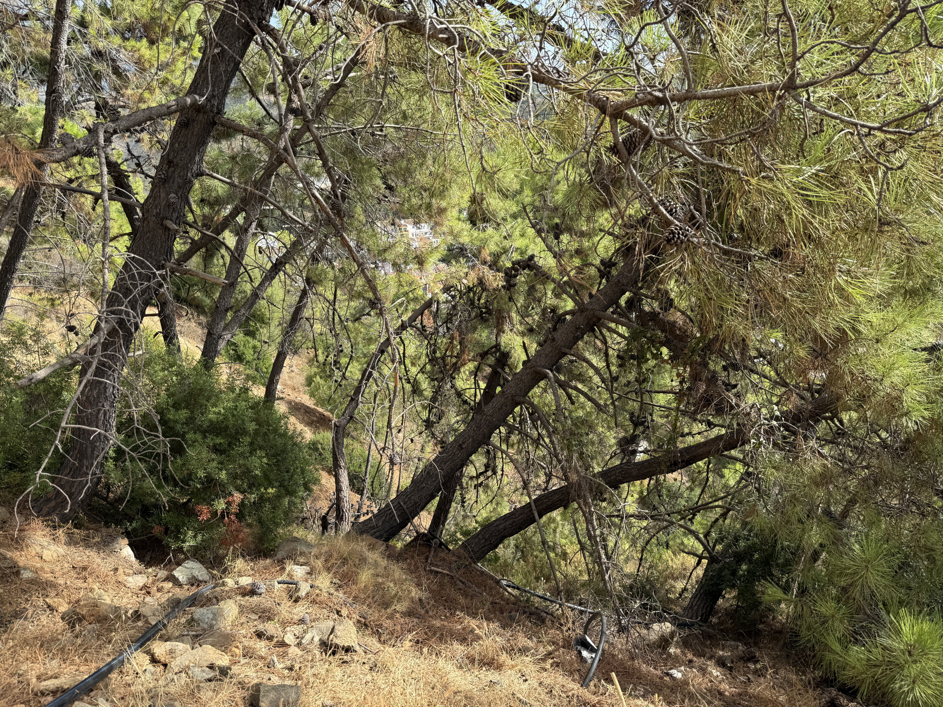 Unique Opportunity – Unconsolidated Urban Land in Benahavís with Spectacular Views