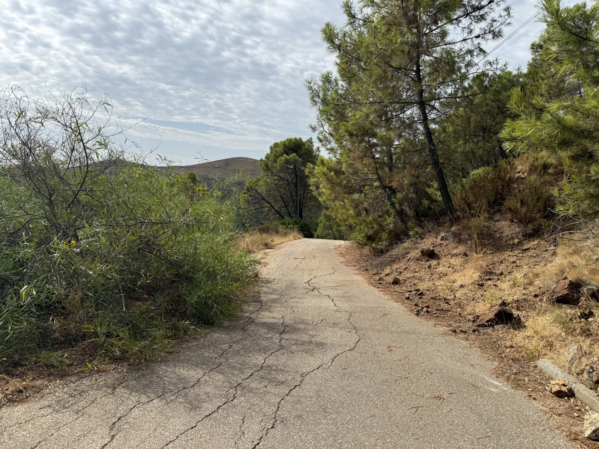 Unique Opportunity – Unconsolidated Urban Land in Benahavís with Spectacular Views