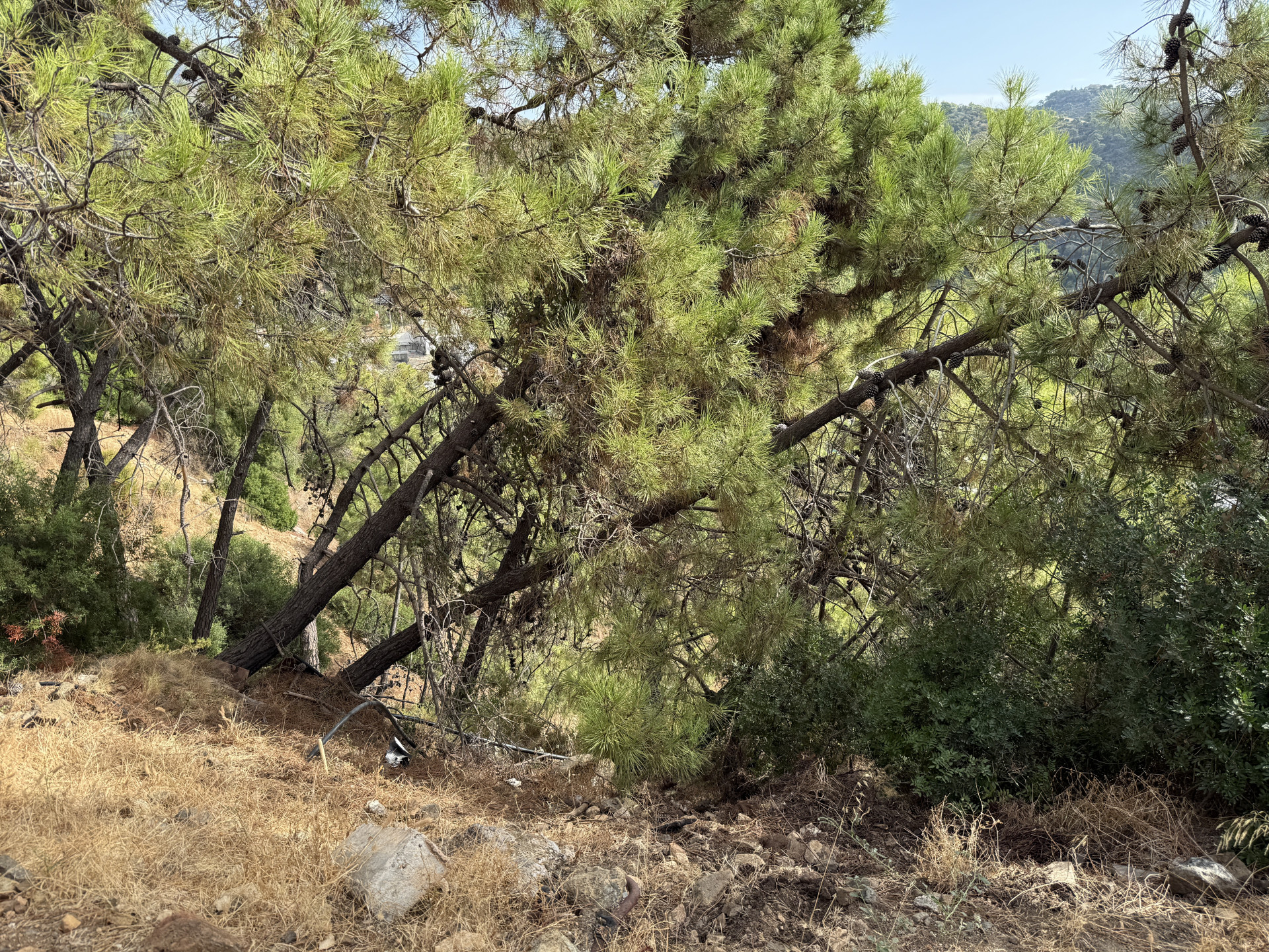 Unique Opportunity – Unconsolidated Urban Land in Benahavís with Spectacular Views