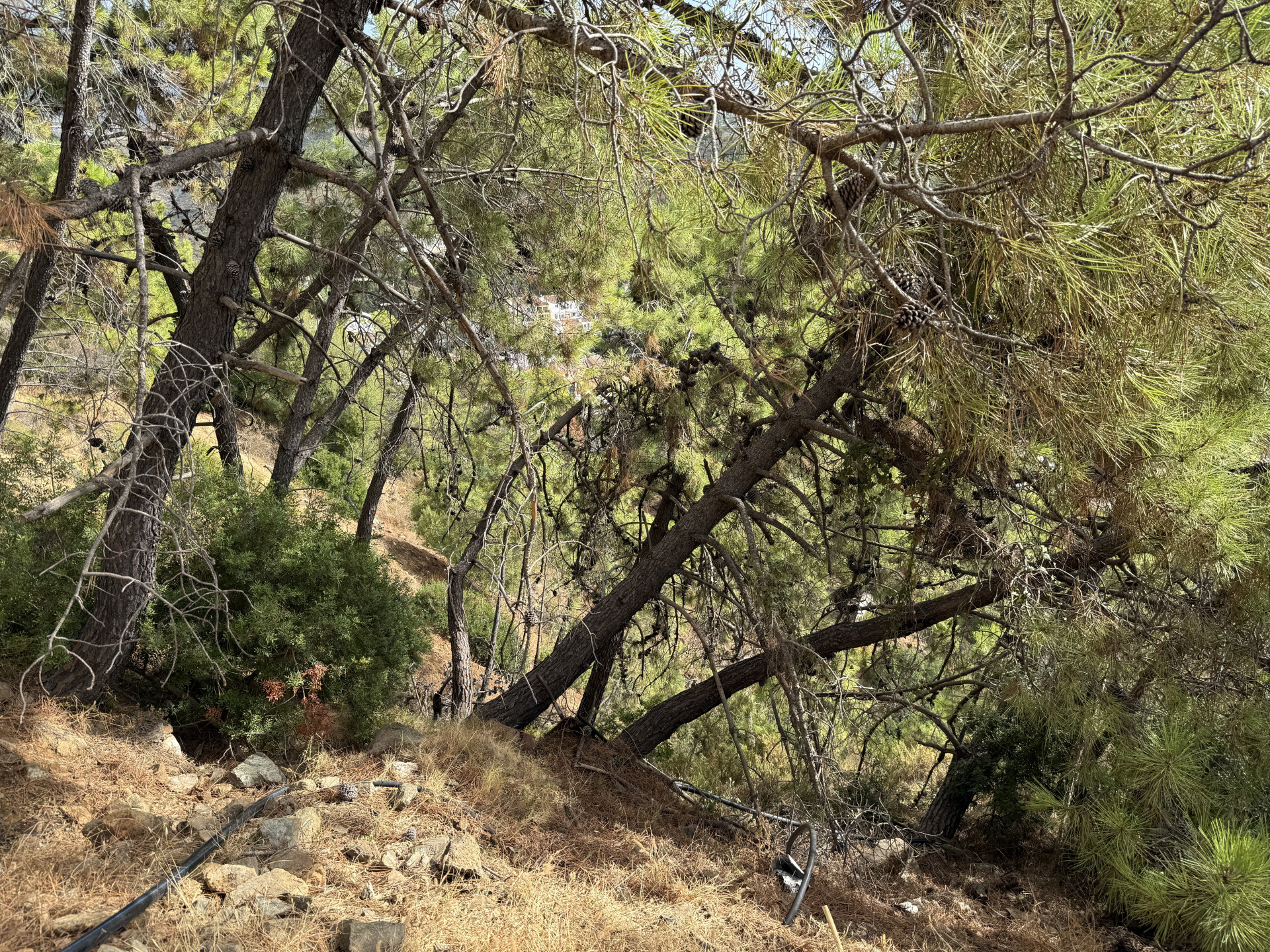 Unique Opportunity – Unconsolidated Urban Land in Benahavís with Spectacular Views — photo 5