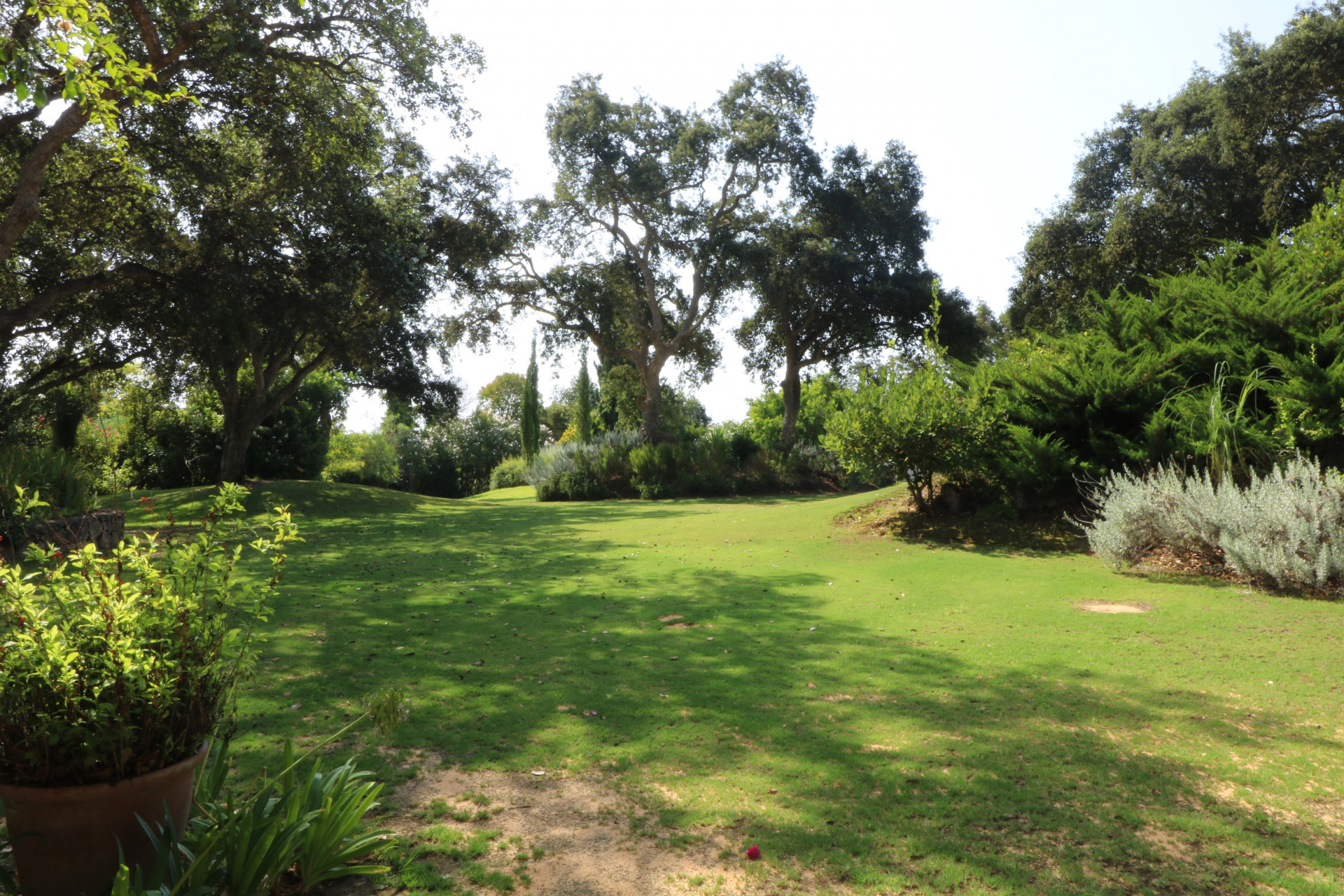 Details Villa for sale Sotogrande Alto – V1531