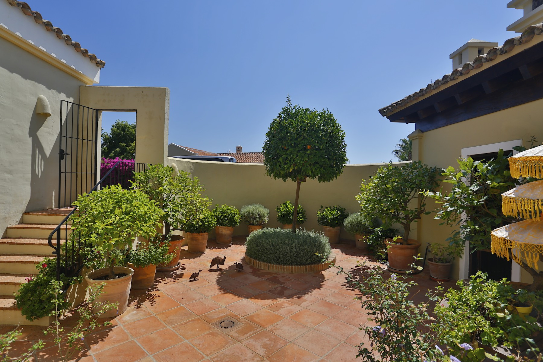 Detalles Villa en venta Sotogrande Alto-327-710
