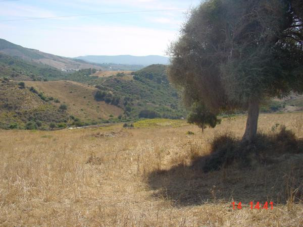 Parcela en venta en San Martin del Tesorillo