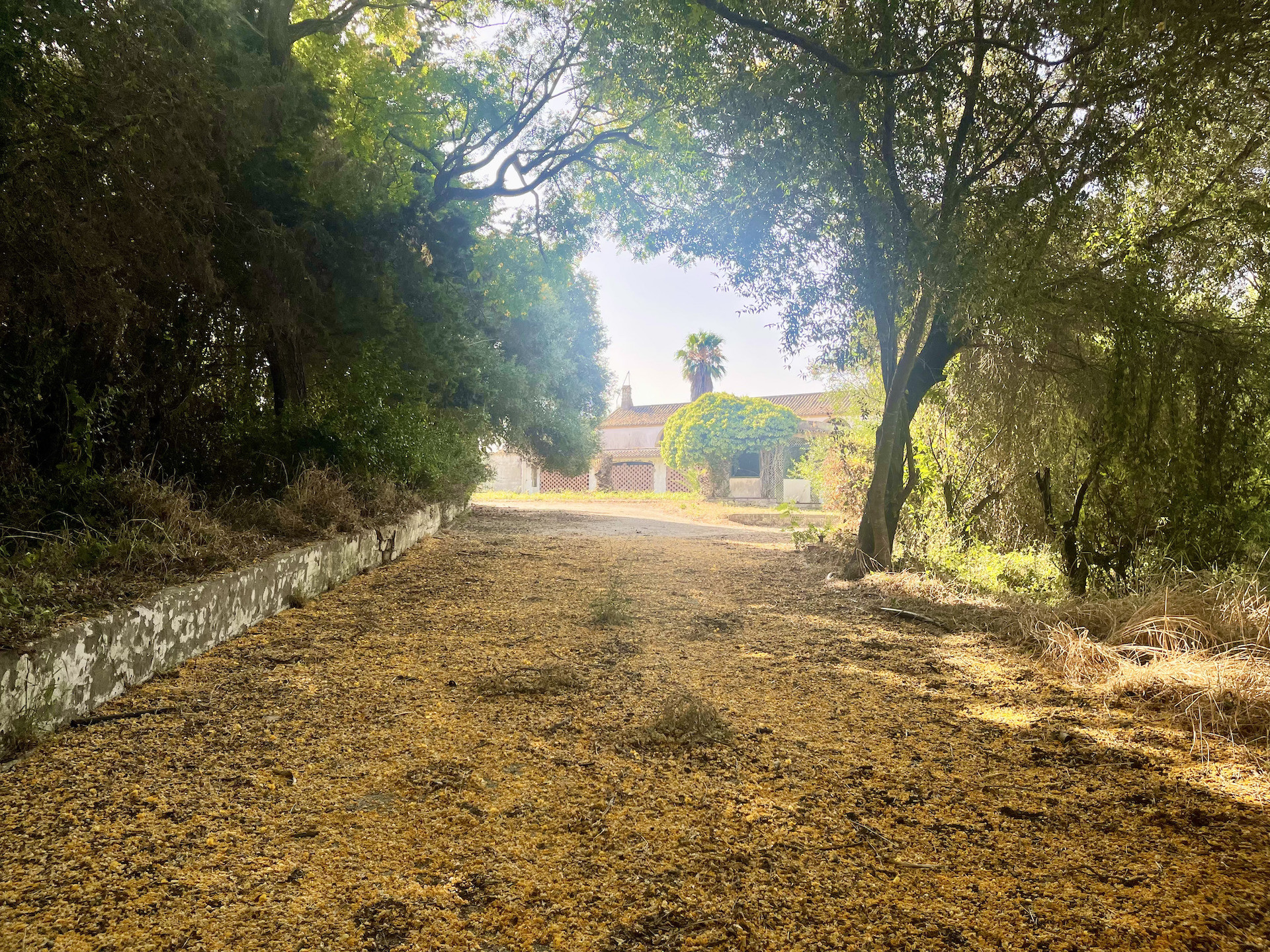 Exterior Villa for sale in Sotogrande Costa