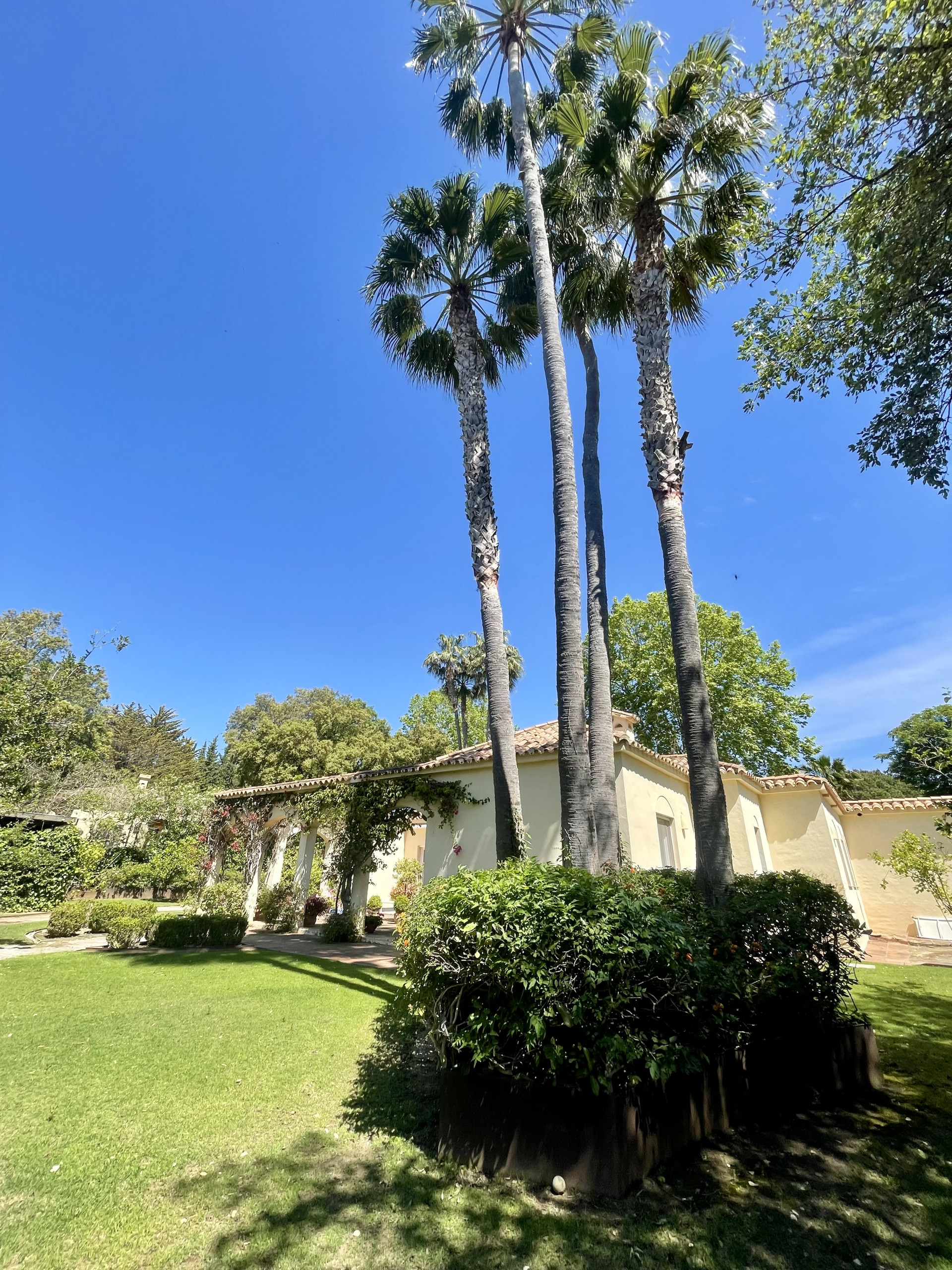 Imagenes exteriores de Villa en venta en Sotogrande Alto