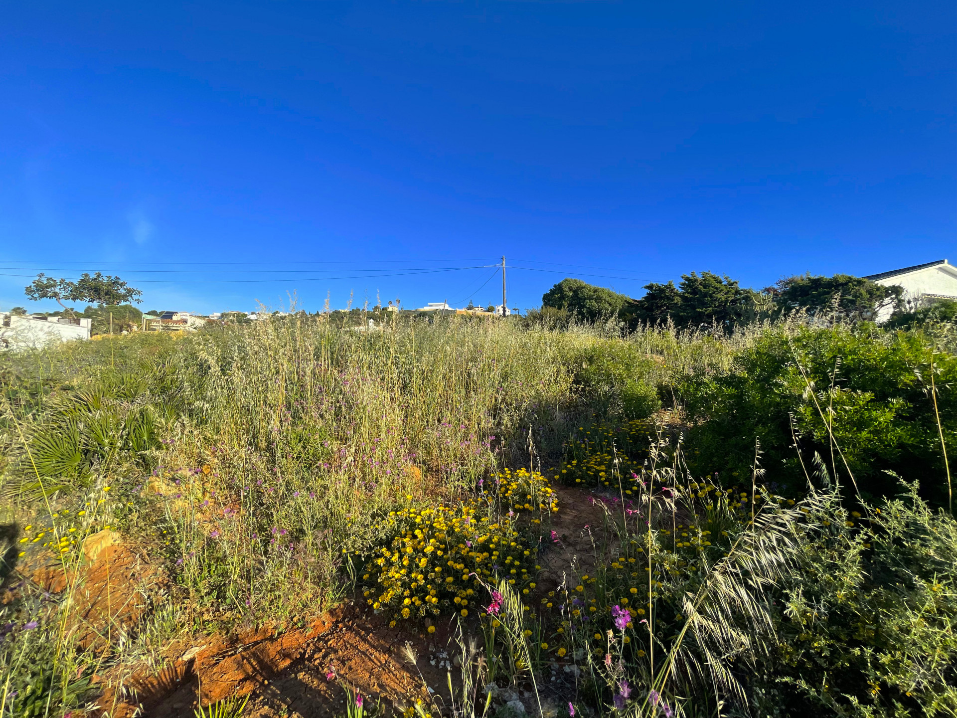 Interiores Parcela en venta en Torreguadiaro