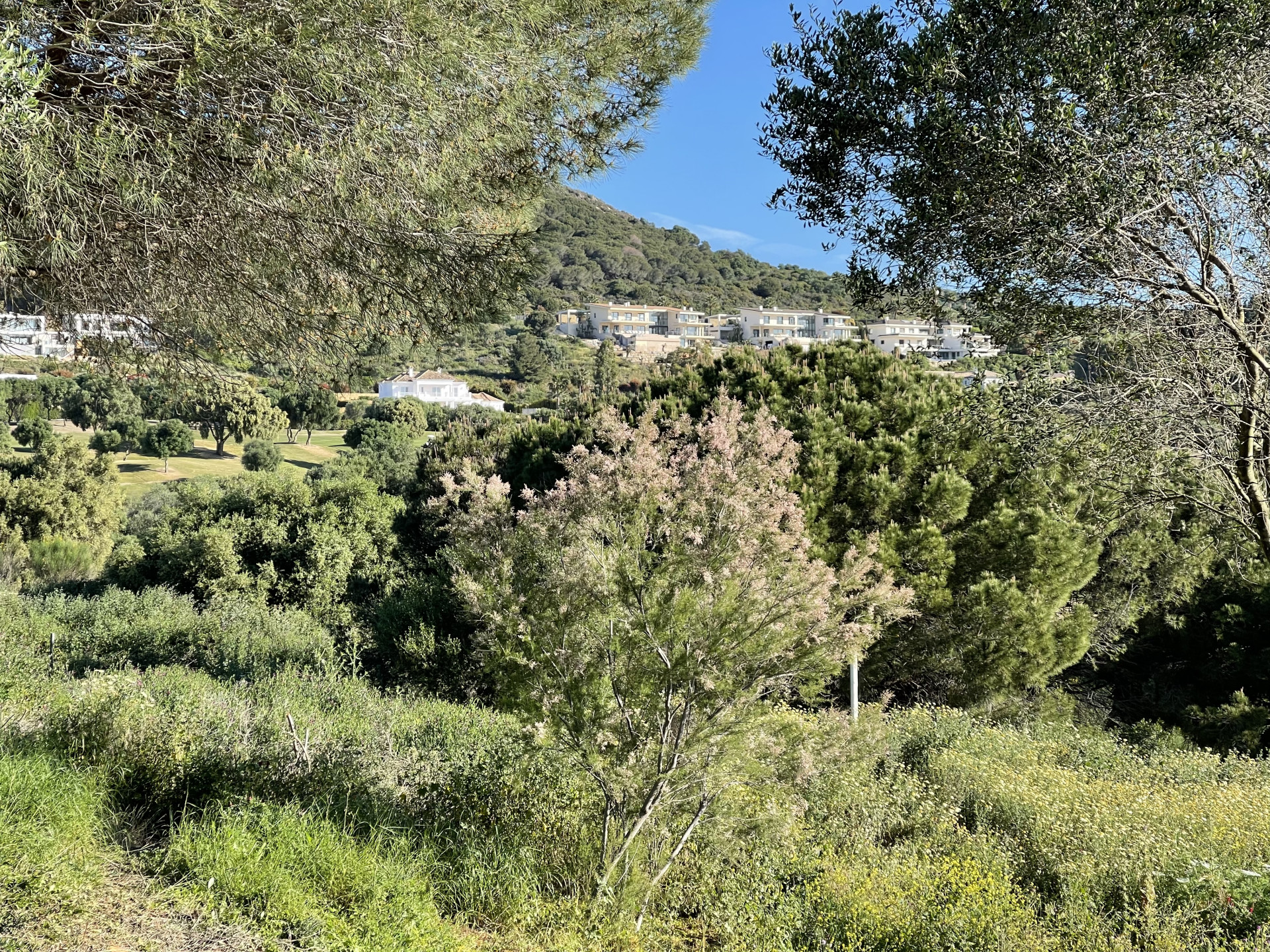 Exterior Parcela en venta en La Reserva