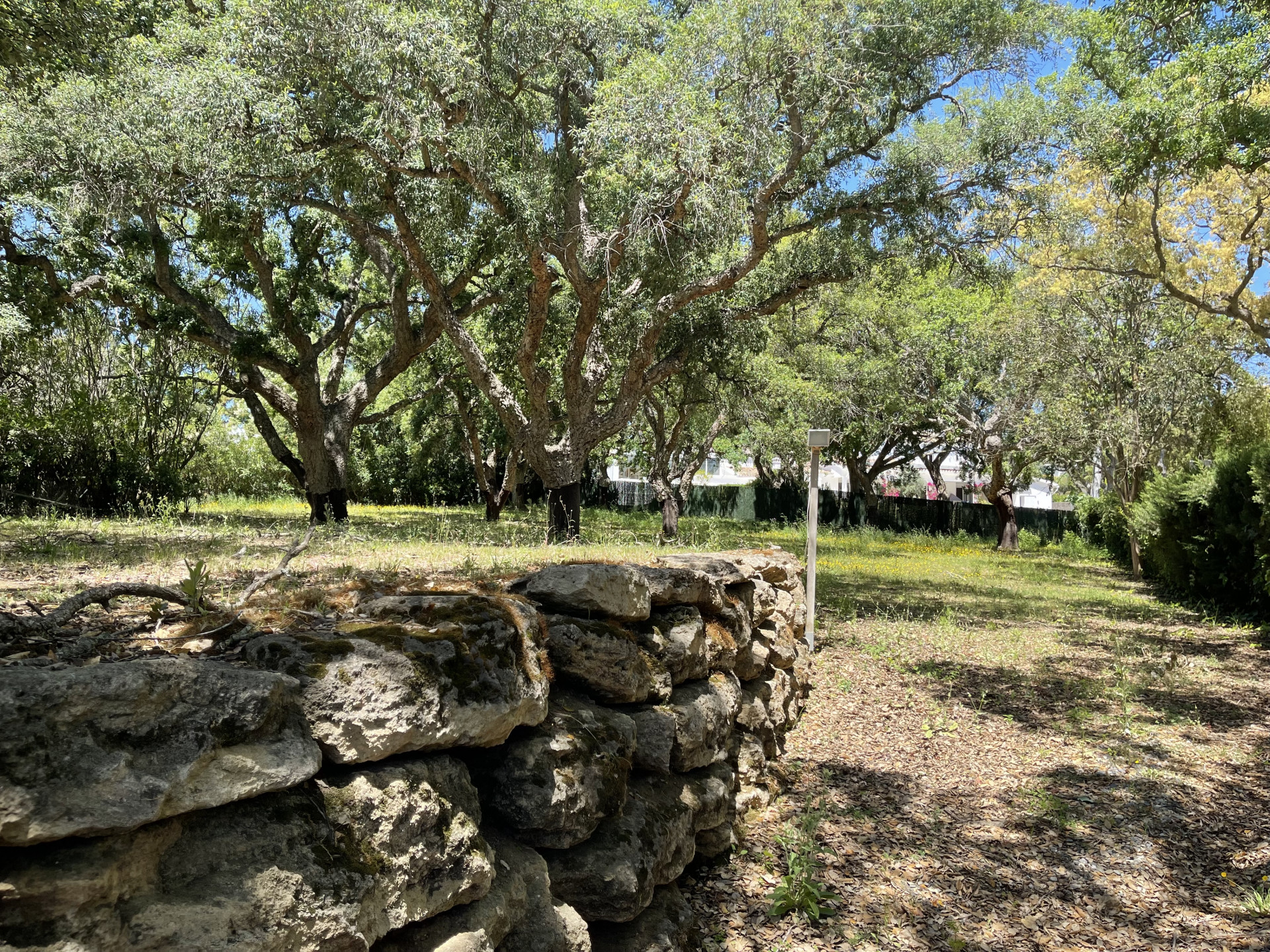 Details Plot for sale Sotogrande Alto – 327-00846P