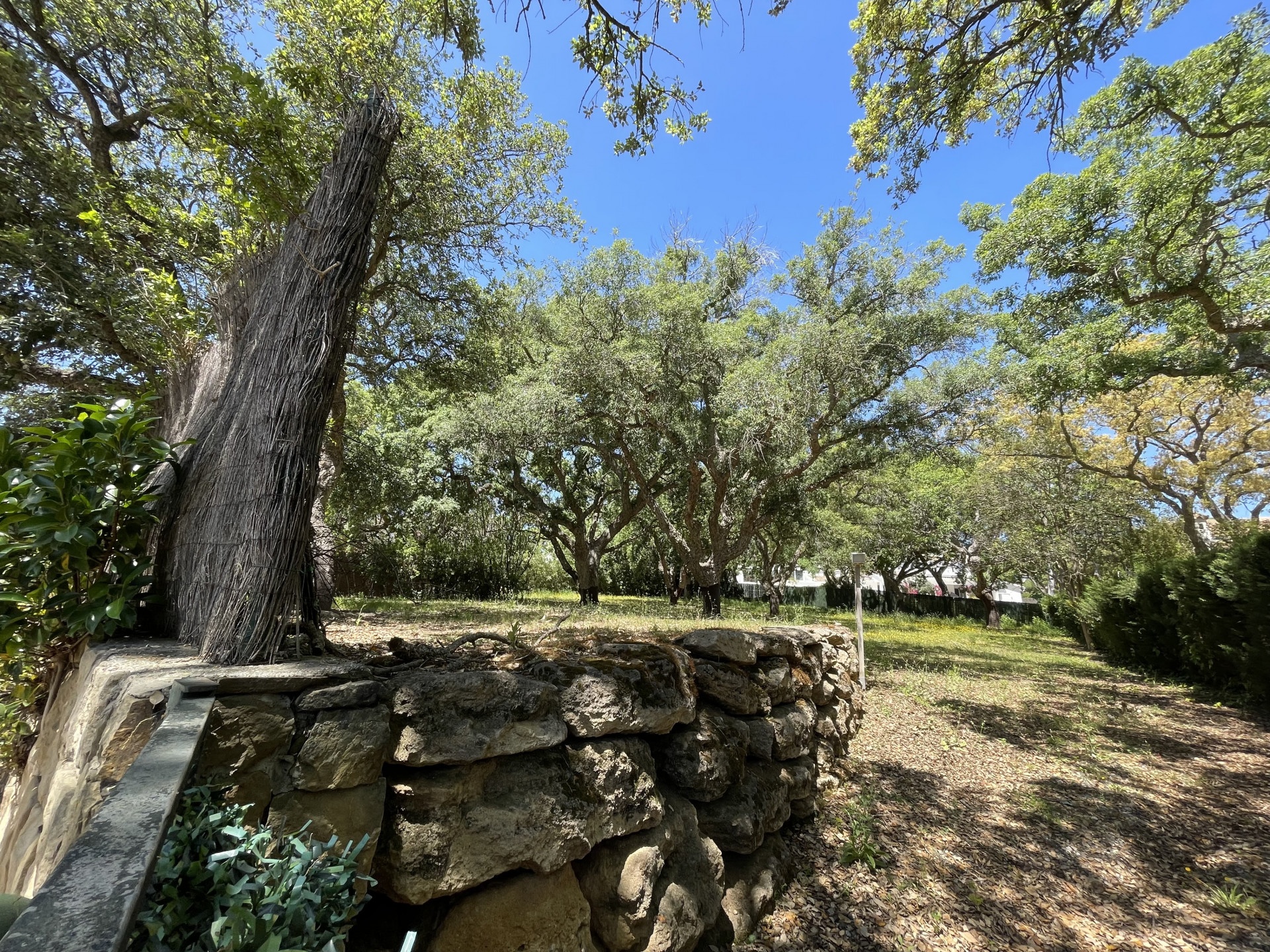 Exterior Plot for sale in Sotogrande Alto