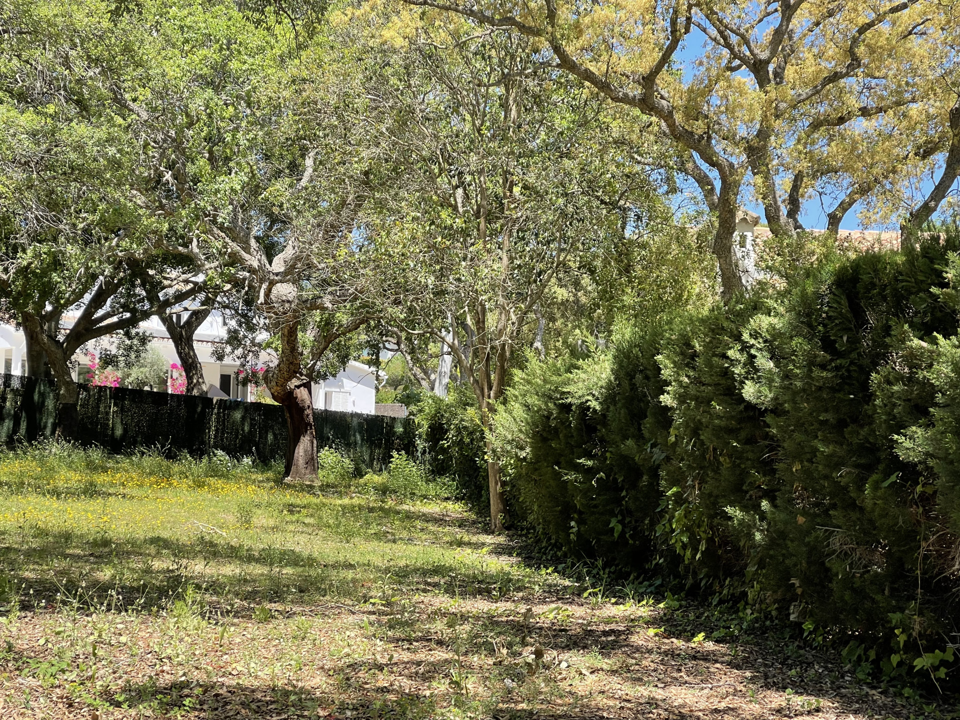 Interior Plot for sale in Sotogrande Alto