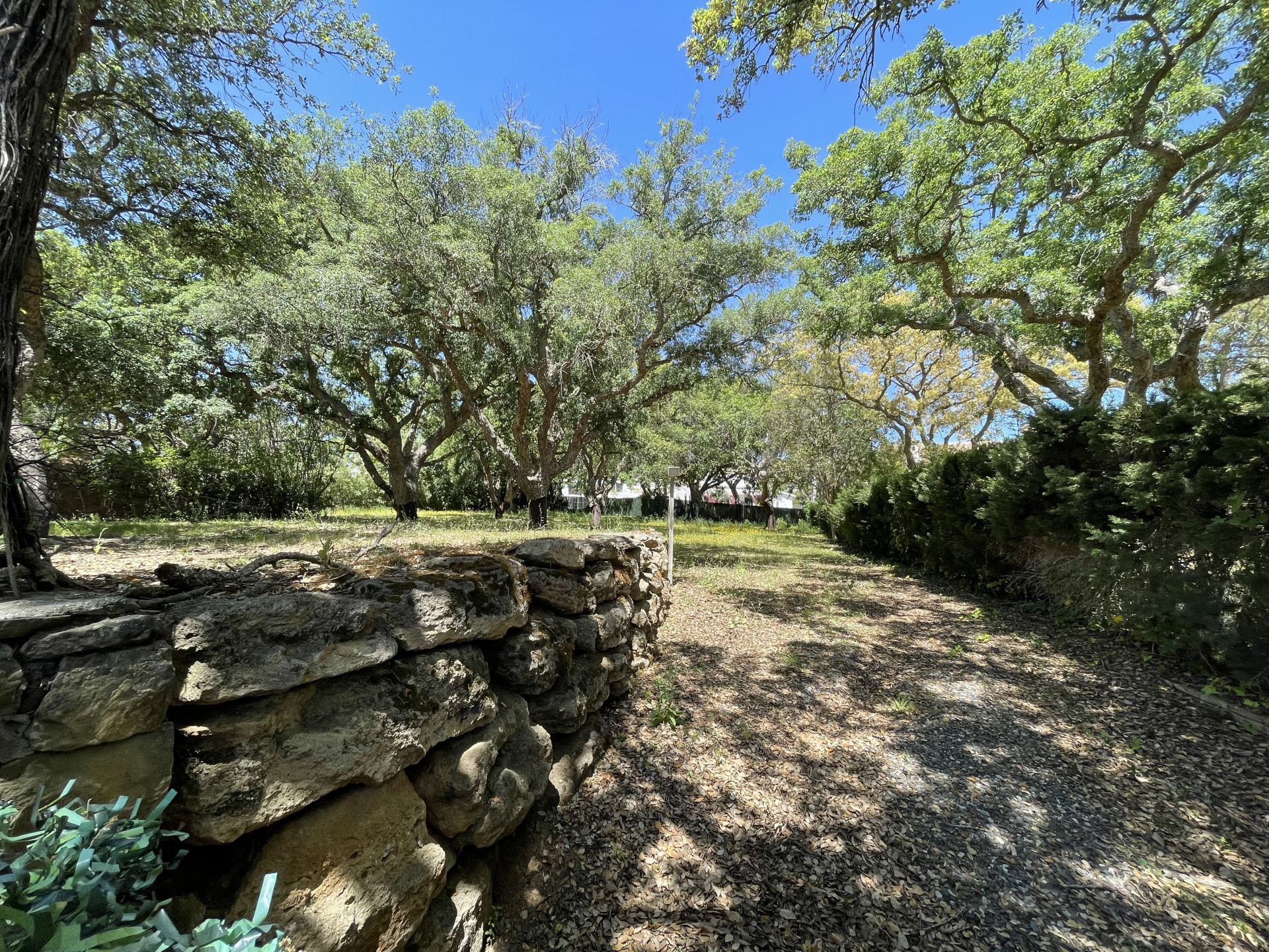 Plot for sale in Sotogrande Alto