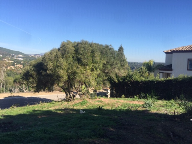 Parcela en venta en Sotogrande Alto